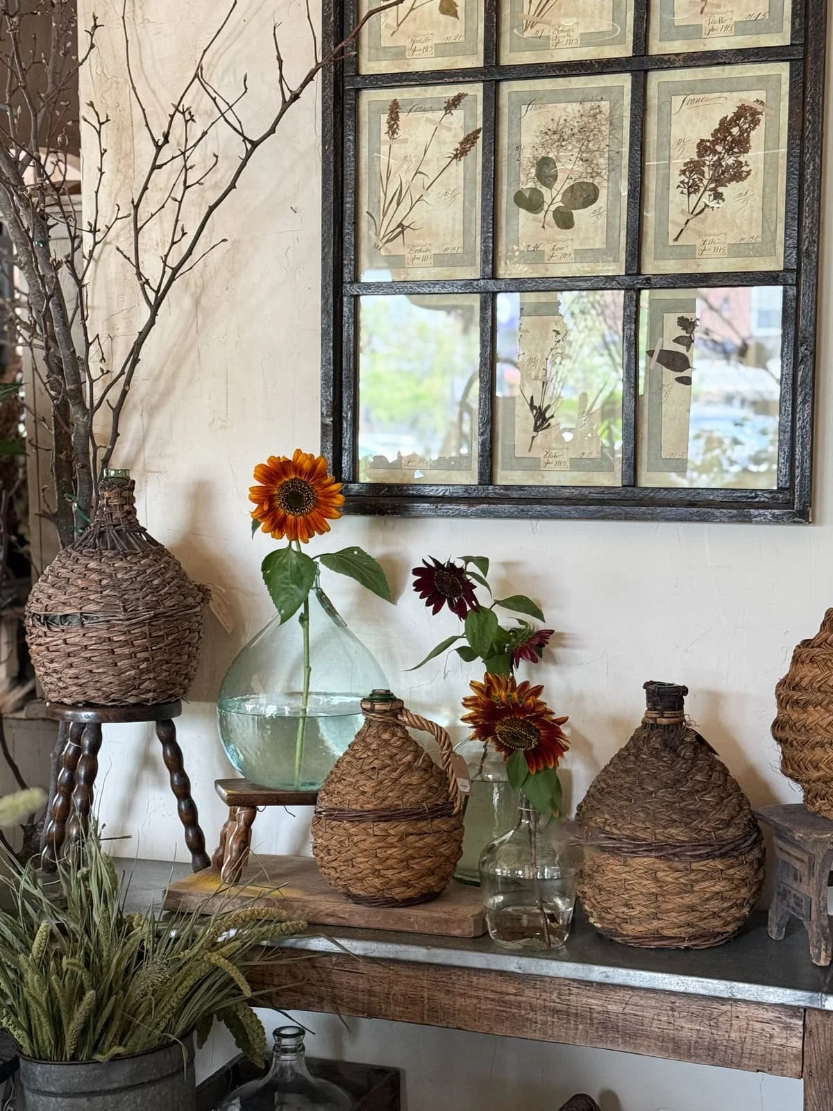 french  wicker demijohn bottles framed pressed botanicals