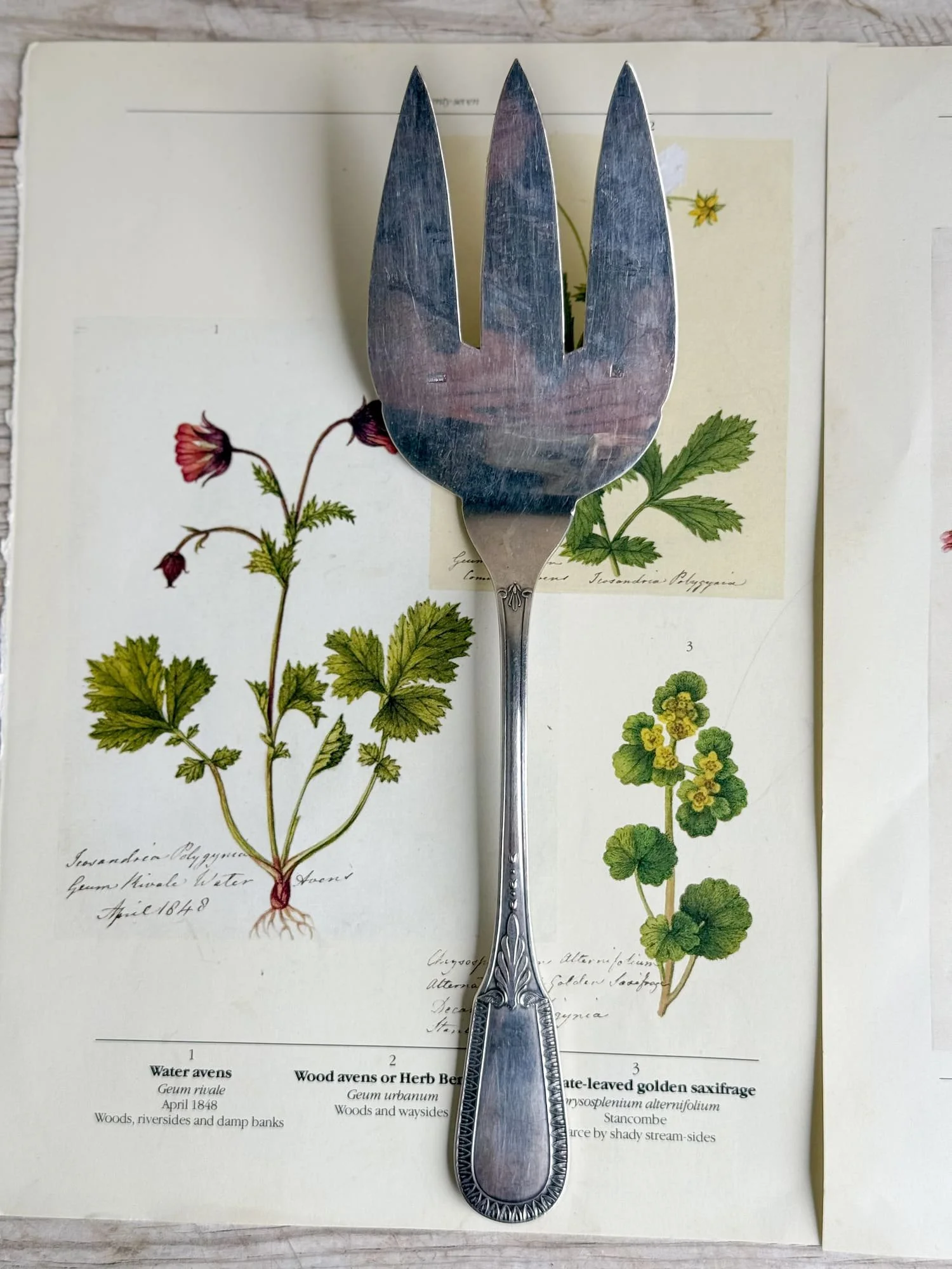 vintage-french-silver-serving-fork-ercuis-fork (2).jpg