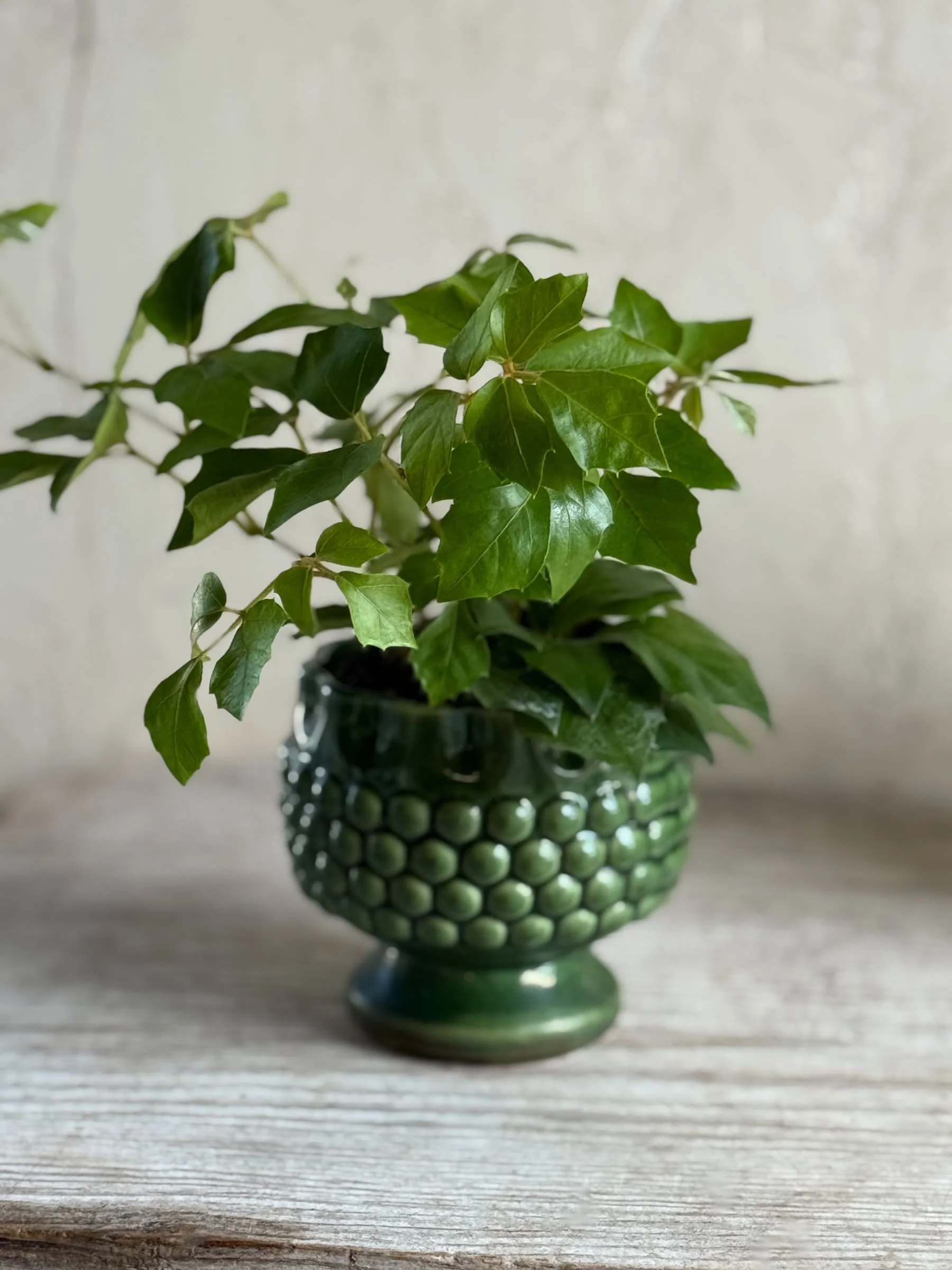 vintage-green-glaze-stoneware-hobnail-pedestal-jardiniere-planter-2.jpg