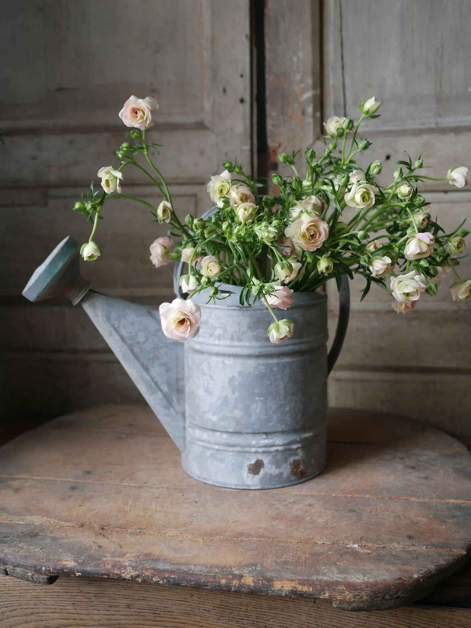 vintage-zinc-watering-can.jpg