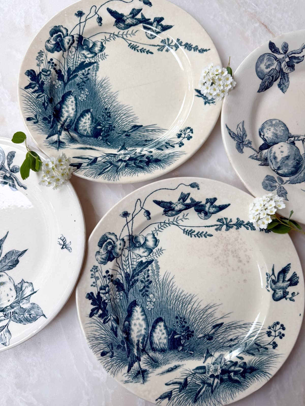 antique-terre-de-fer-french-ironstone-plates-blue-transferware-birds-bordeaux (3).jpg