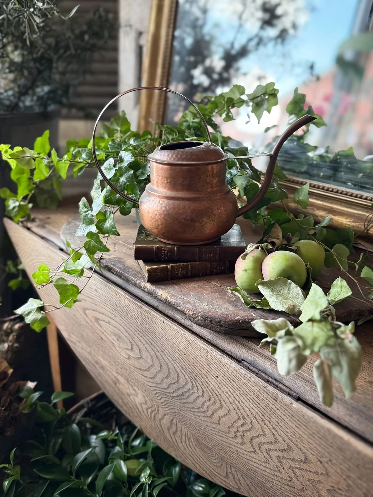 vintage-copper-watering-can-plant-care.jpg