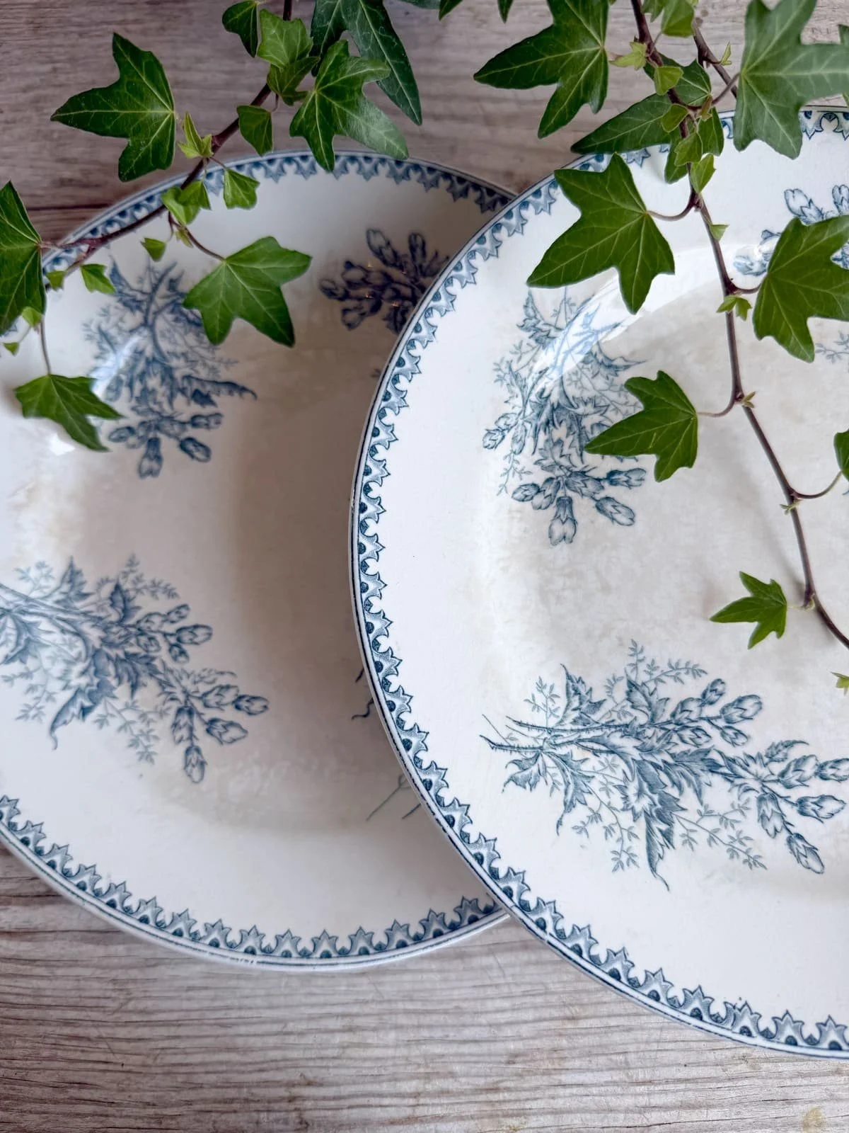 antique-terre-de-fer-plate-blue-thistle-floral-pattern  (4).jpg