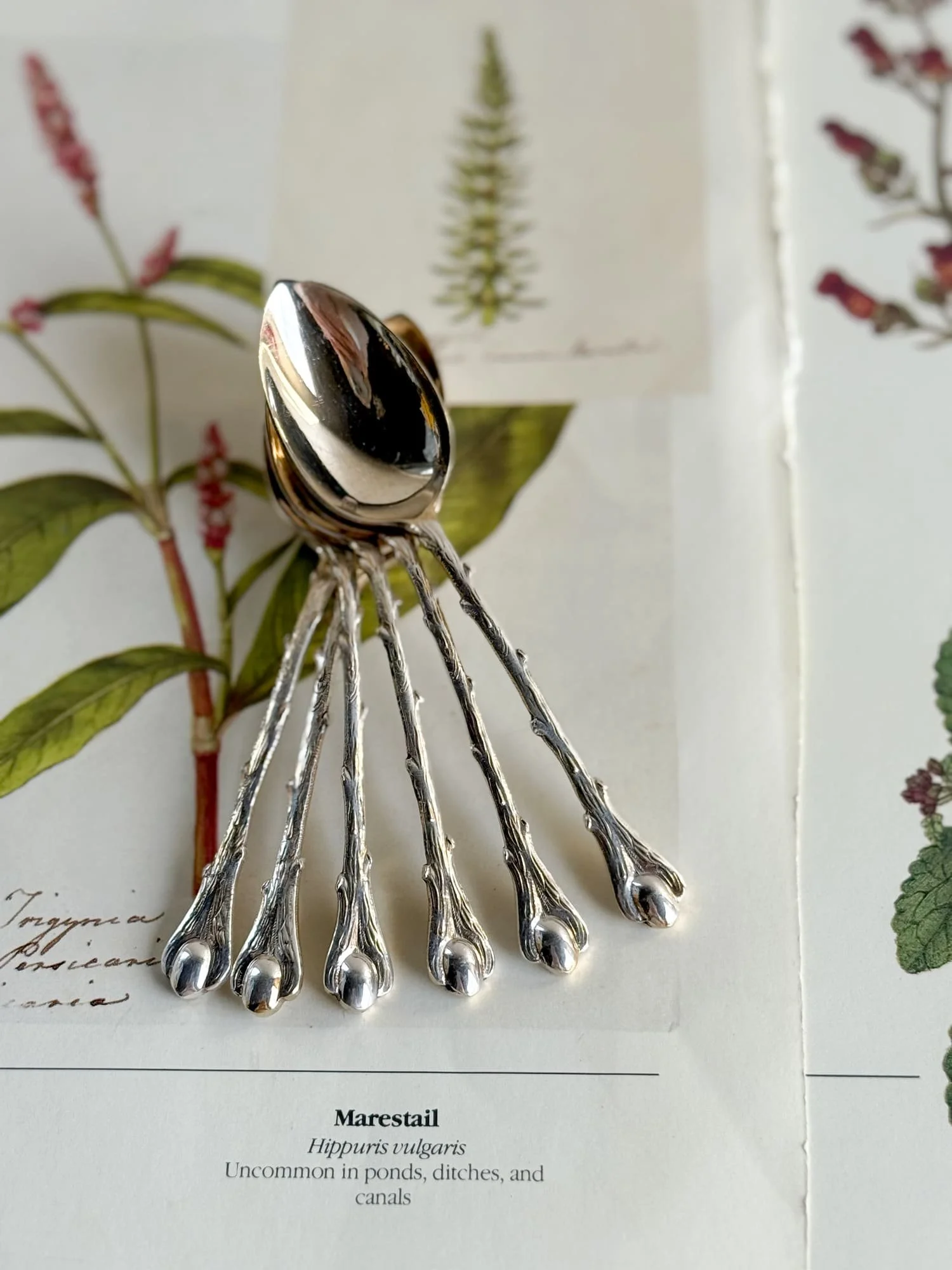 vintage-french-silver-moka-deitasse-cafe-coffee-bean-spoons (2).jpg