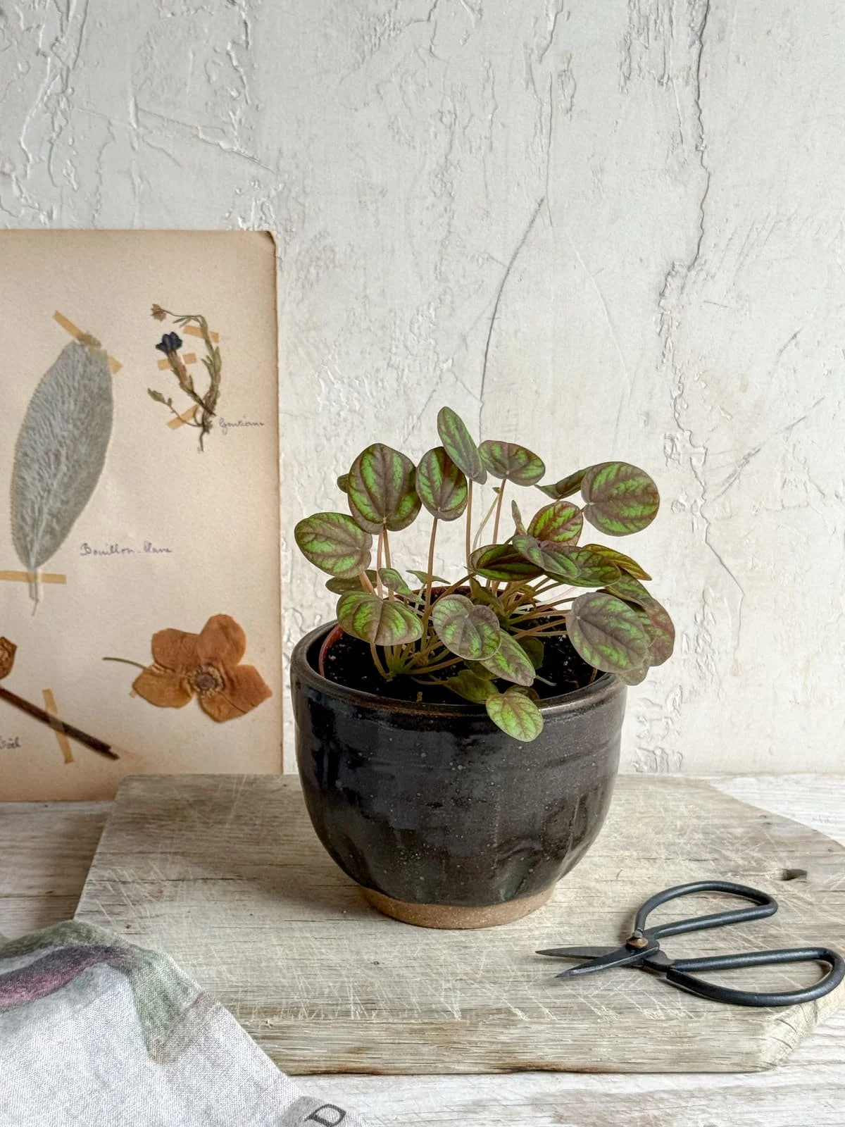 vintage-brown-glazed-pottery-planter.jpg