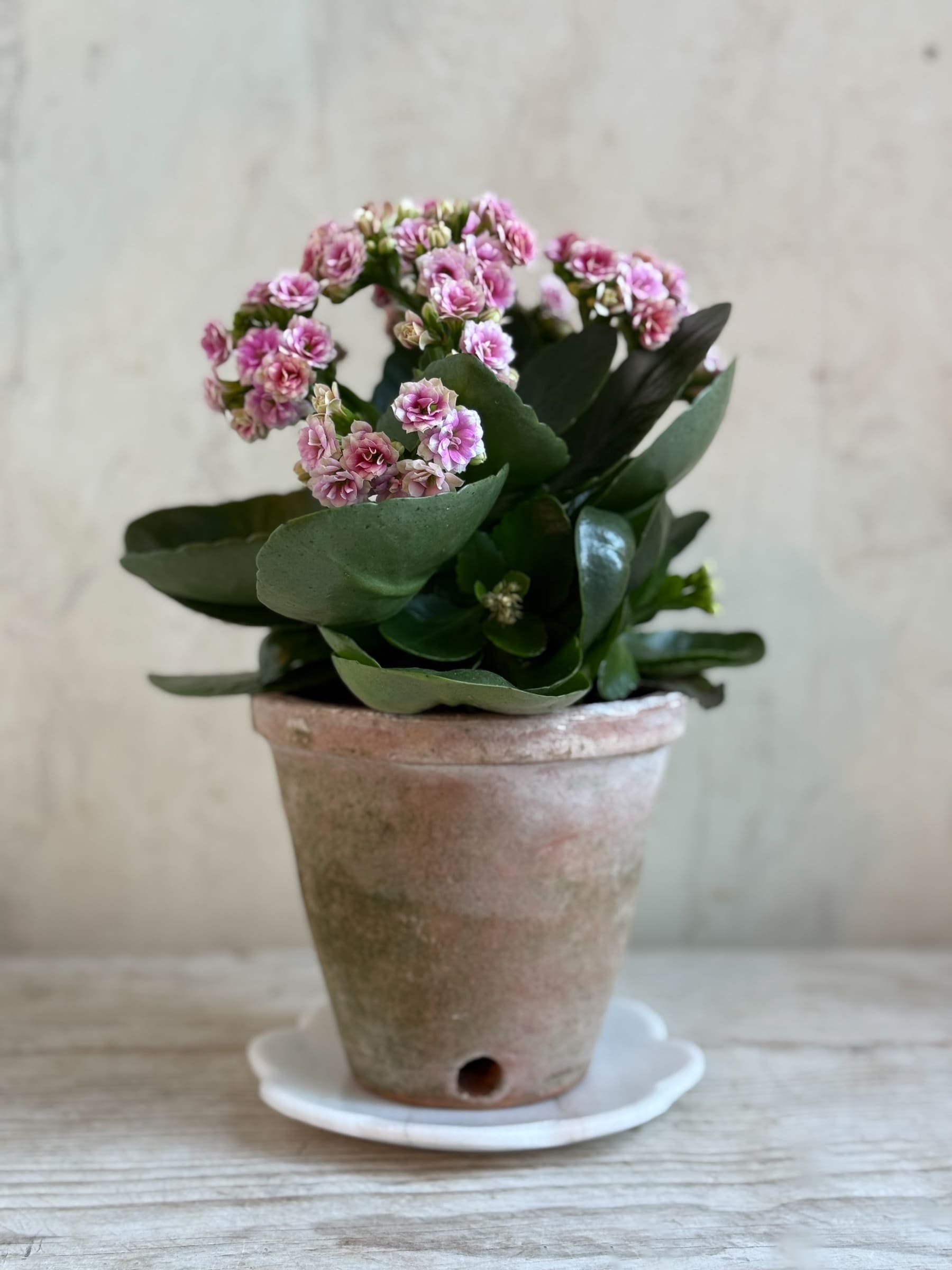 White Marble Flower-Shaped Tray, Saucer, Candle Base