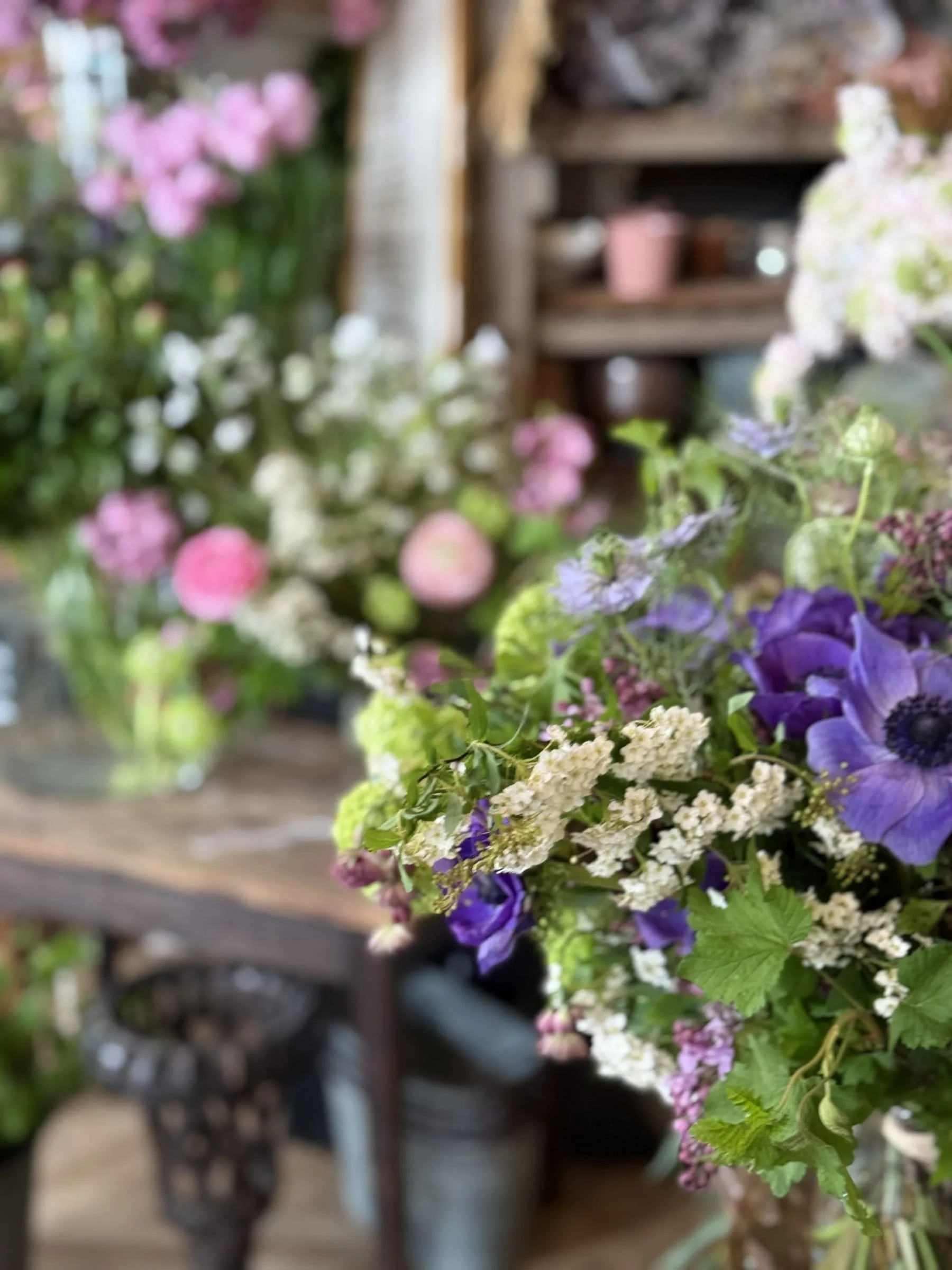 Floral Event & Book Signing with Adrienne Ryser at Les Fleurs - Morning ...