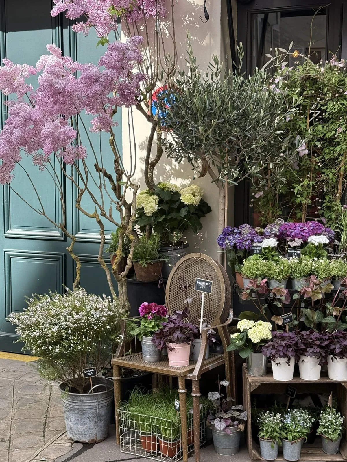 paris florist parisian experience tour floral workshop sandra sigman les fleurs andover