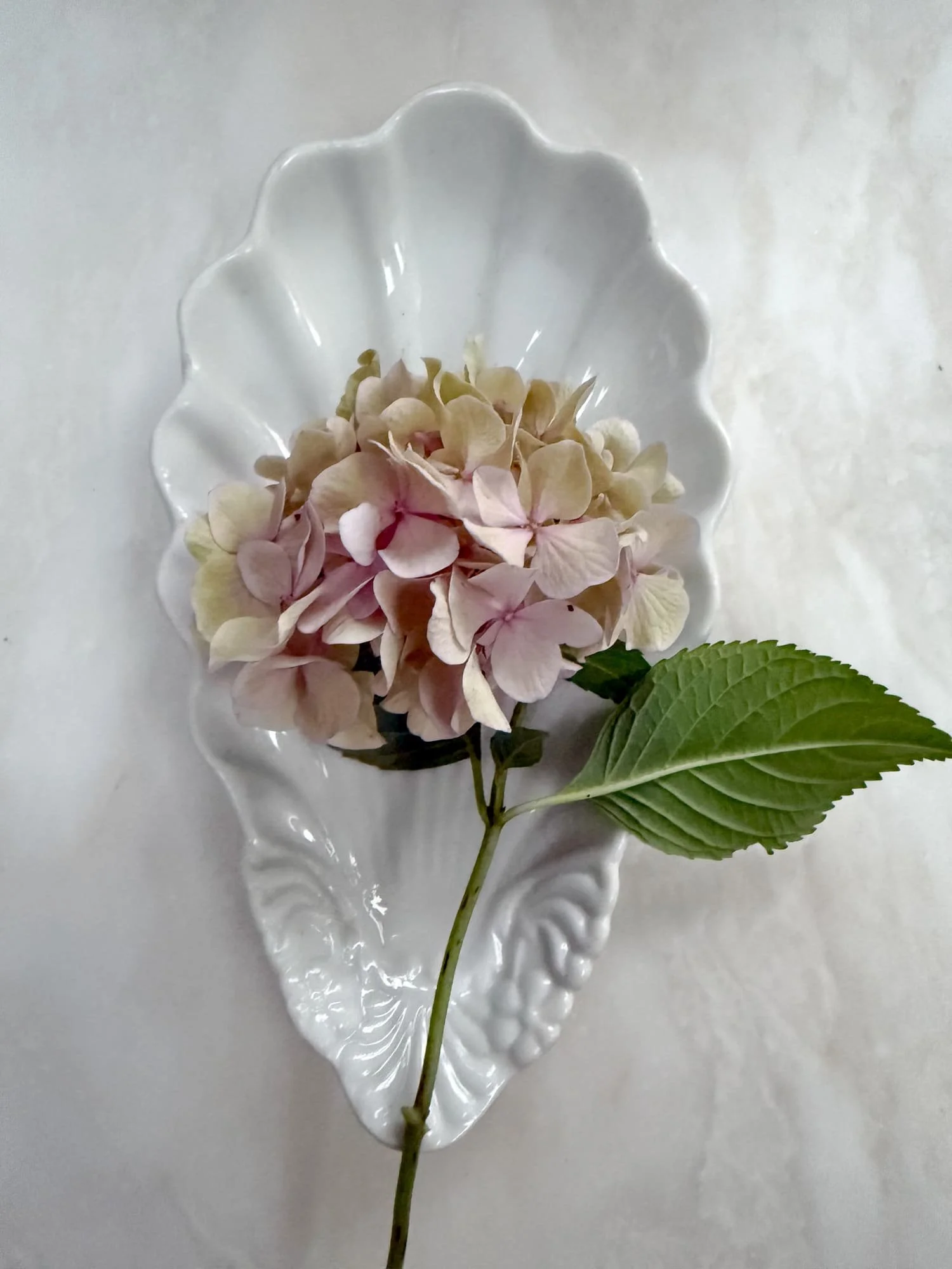 antique-ironstone-spoon-rest-shell-dish-1.jpeg