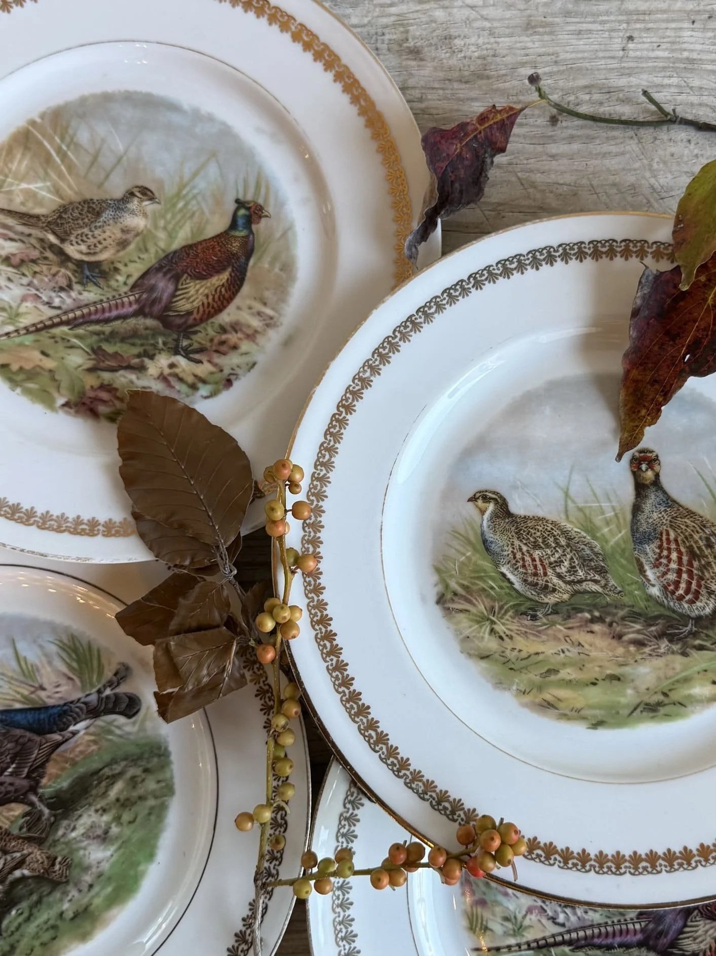 french-pheasant-plates-fall-tabletop+%283%29.jpg