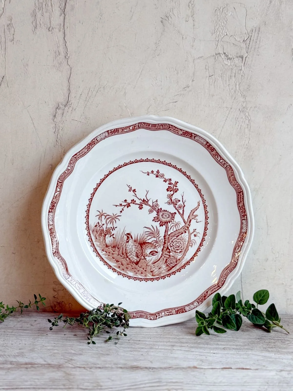 vintage-furnivals-ironstone-brown-transferware-quail-plate.jpg