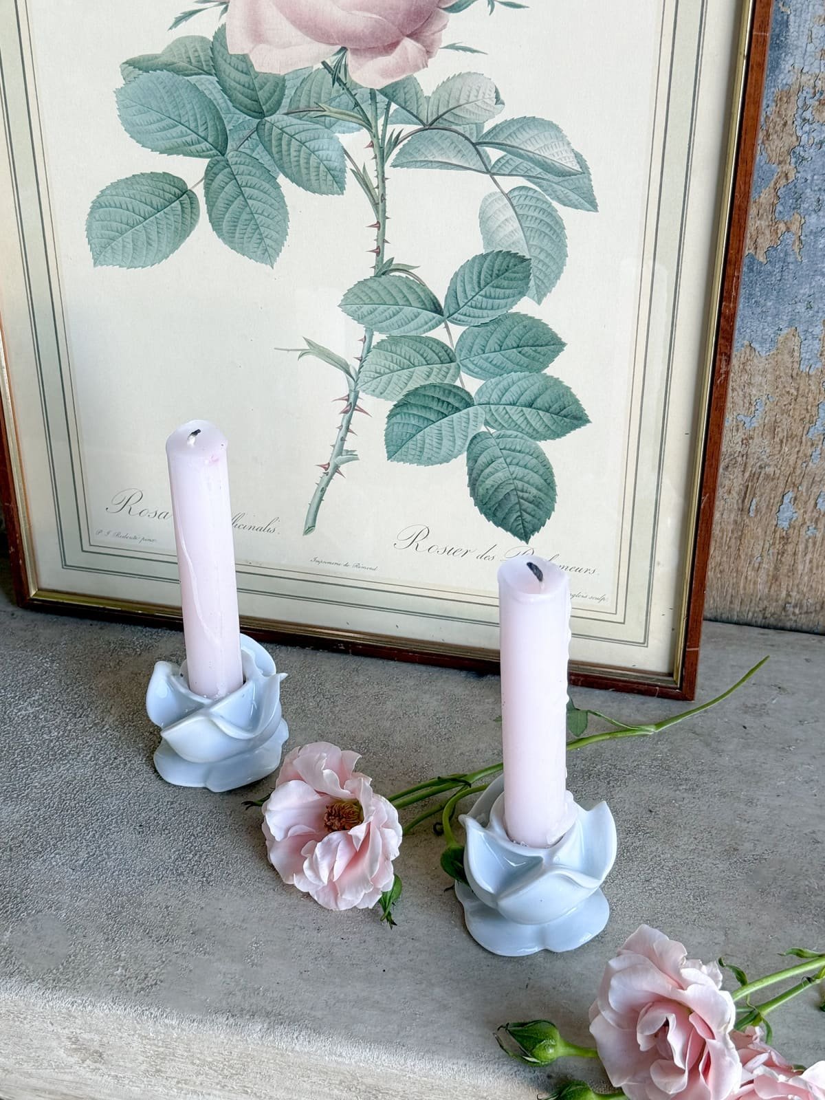 vintage-white-porcelain-sculpted-rose-candle-holder-france (9).jpg