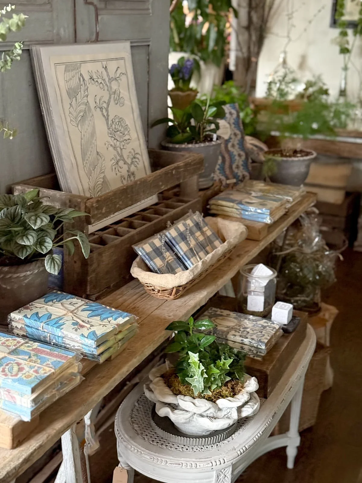 domino paper notebooks antoinette poisson prints