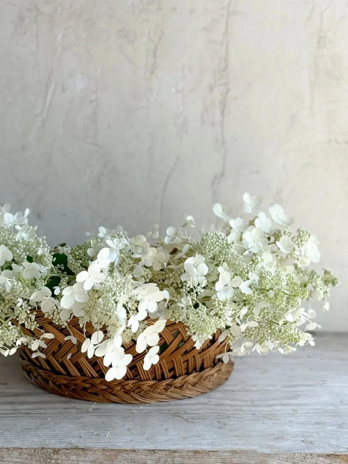 Vintage French Round Braided Wicker Bread Basket