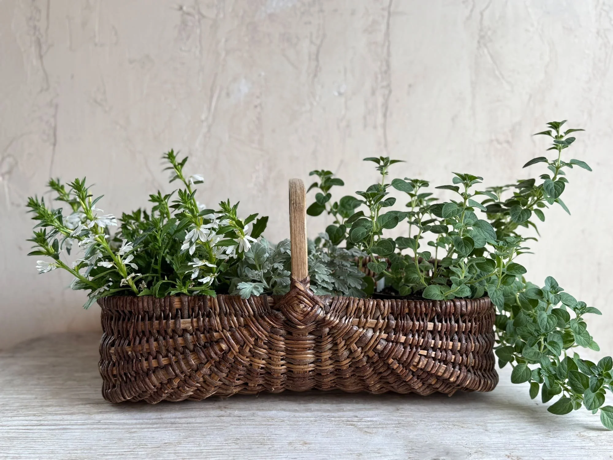 vintage-french-large-rattan-wicker-gathering-basket-trug.jpg