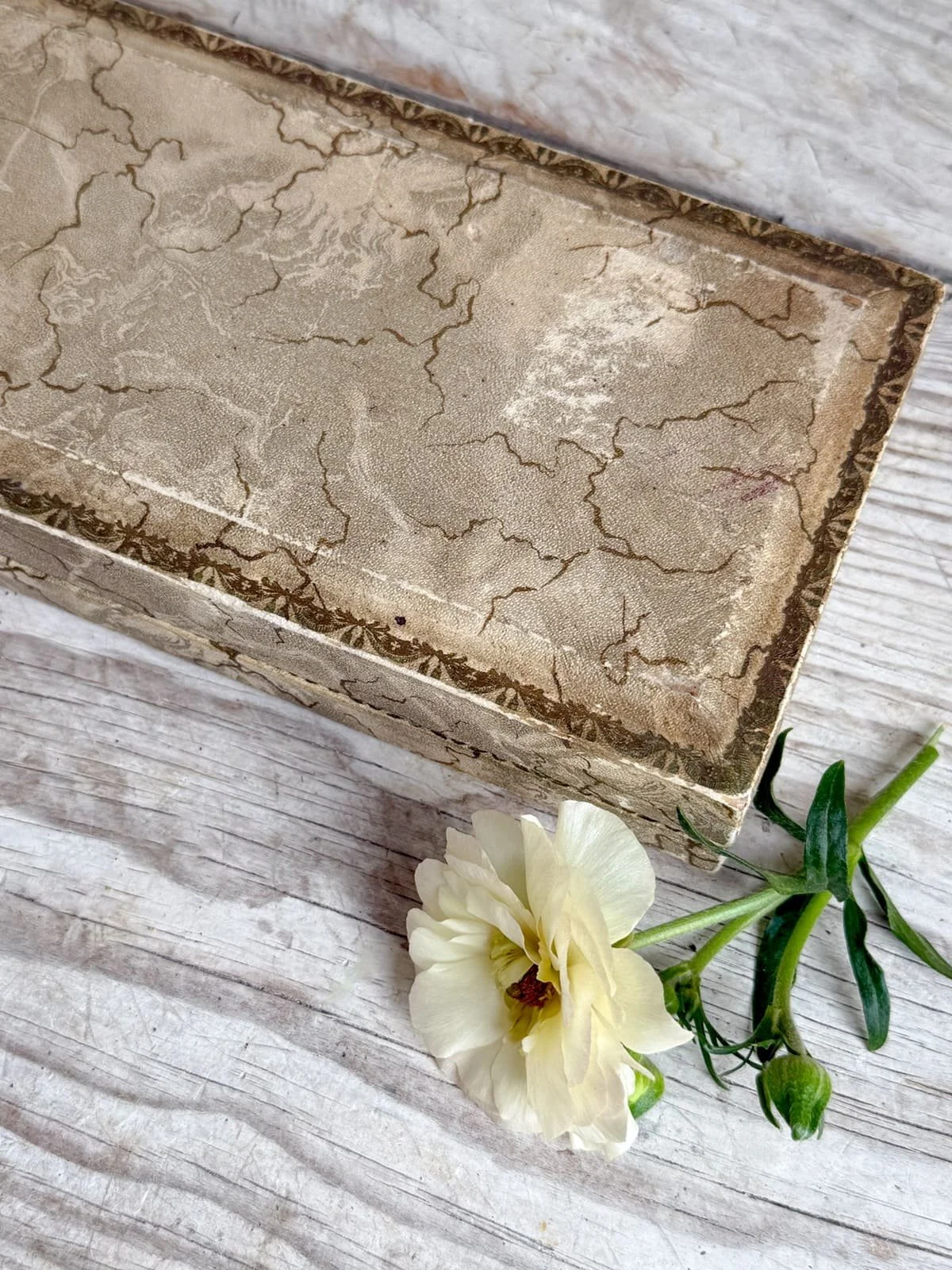 french-art-deco-silver-horn-salad-serving-utensils (1).jpg