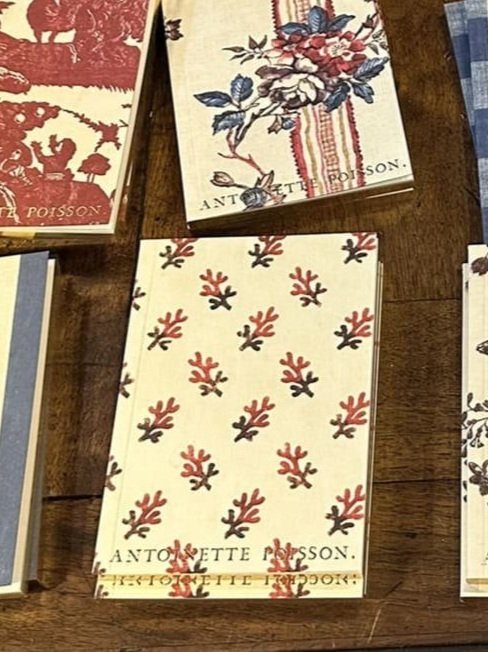 antoinette-poisson-french-domino-paper-mini-journal-notebooks.jpg