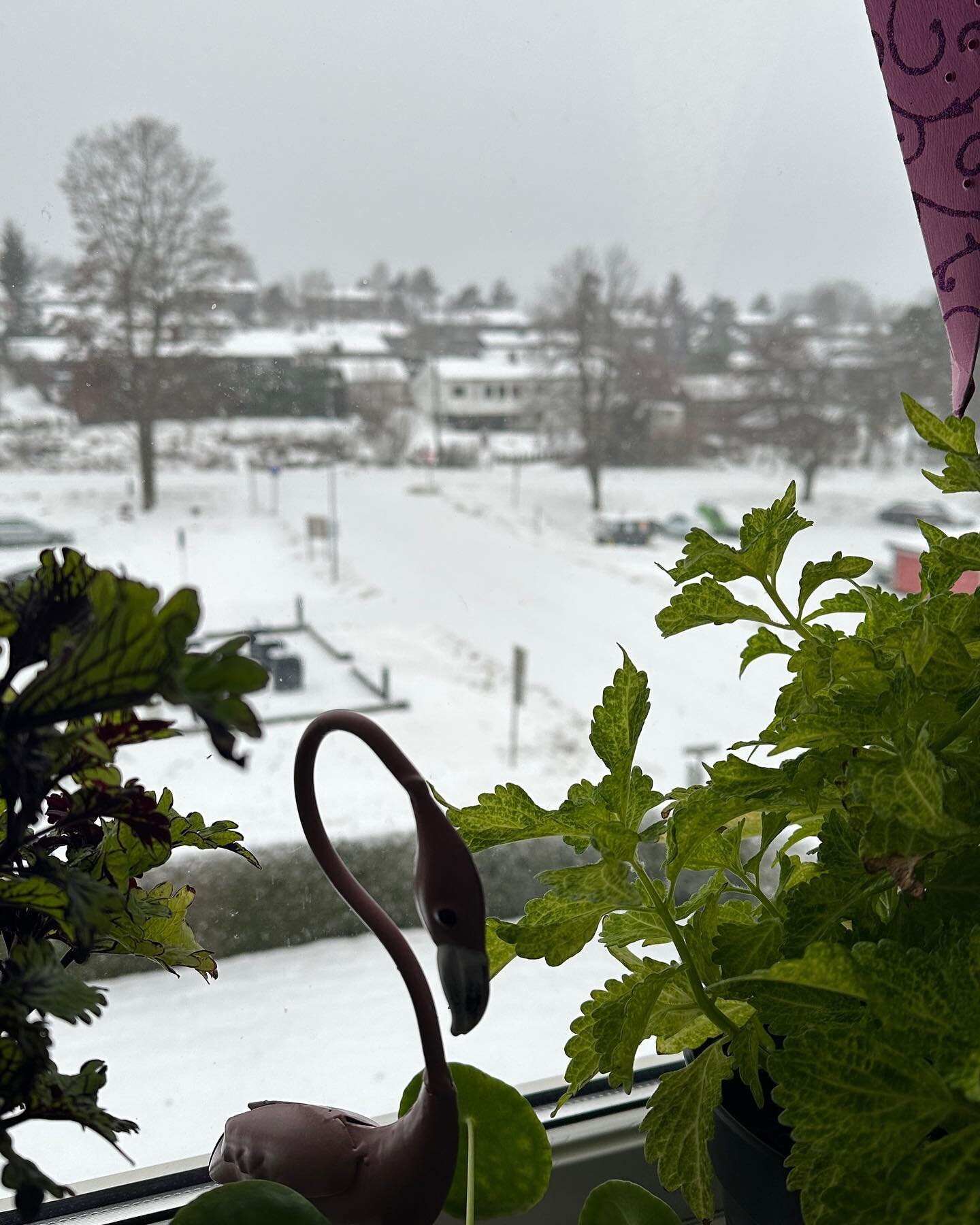 Da er julekalenderen over for i &aring;r. Ha en flott romjul og et godt nytt &aring;r✨