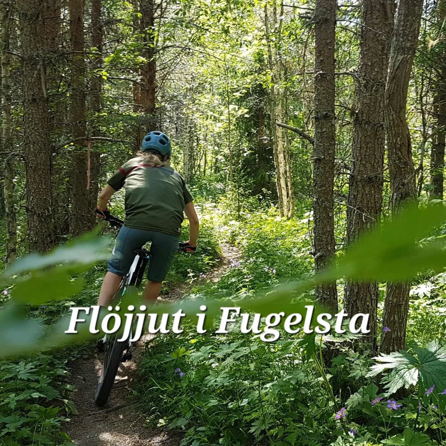 Fl&ouml;jjut i Fugelsta har nu avslutats!  Kul att s&aring; m&aring;nga var med och cyklade! Stort grattis till snabbaste cyklisterna Nisse Bergstr&ouml;m och Cecilia Thomasson med varsin KOM/QOM!

Totalt reggades 22st p&aring; Fugelstastigen, och d&