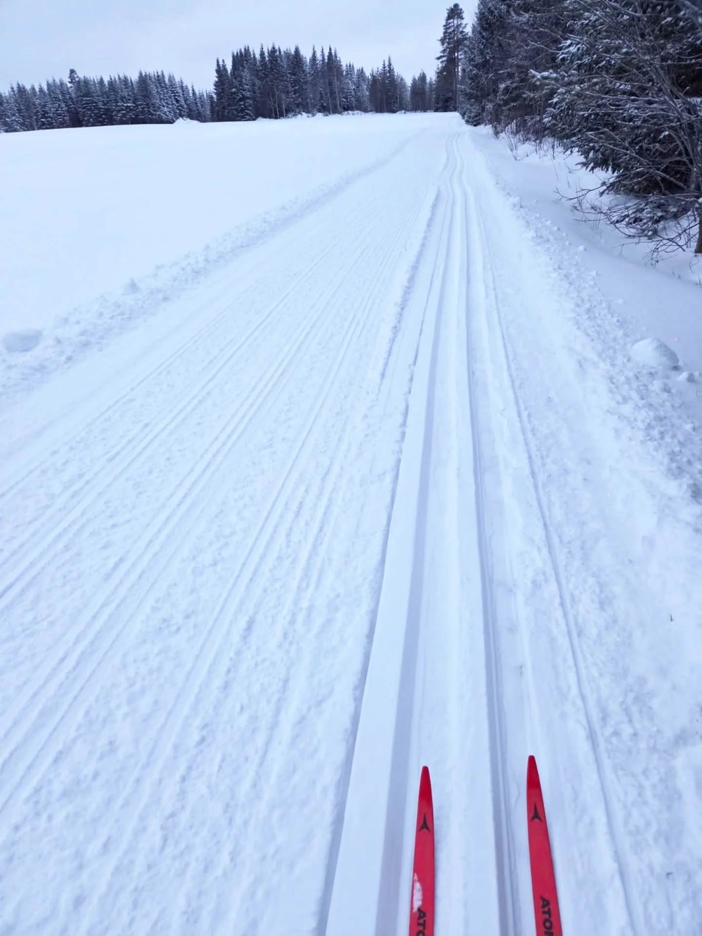 Sp&aring;ret &auml;r preppat, du som &auml;r ute och &aring;ker f&aring;r g&auml;rna skriva en kommentar om hur det &auml;r. En del av sp&aring;ret &auml;r opreppat och avst&auml;ngt pga skogsarbete s&aring; mellan Stens&auml;nget och Erik Pers-buan 