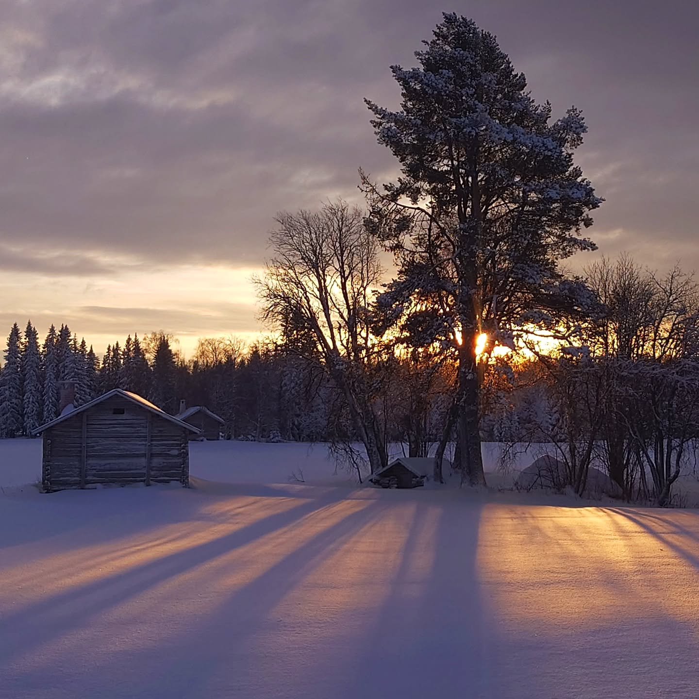 Mycket av fredagen gick &aring;t till att sn&ouml;r&ouml;ja och efter b&auml;sta f&ouml;rm&aring;ga preppa sp&aring;r. Det var v&auml;ldigt mycket sn&ouml; p&aring; &ouml;vre delen av sp&aring;ret vilket med v&aring;rt ekipage inneb&auml;r att det ra