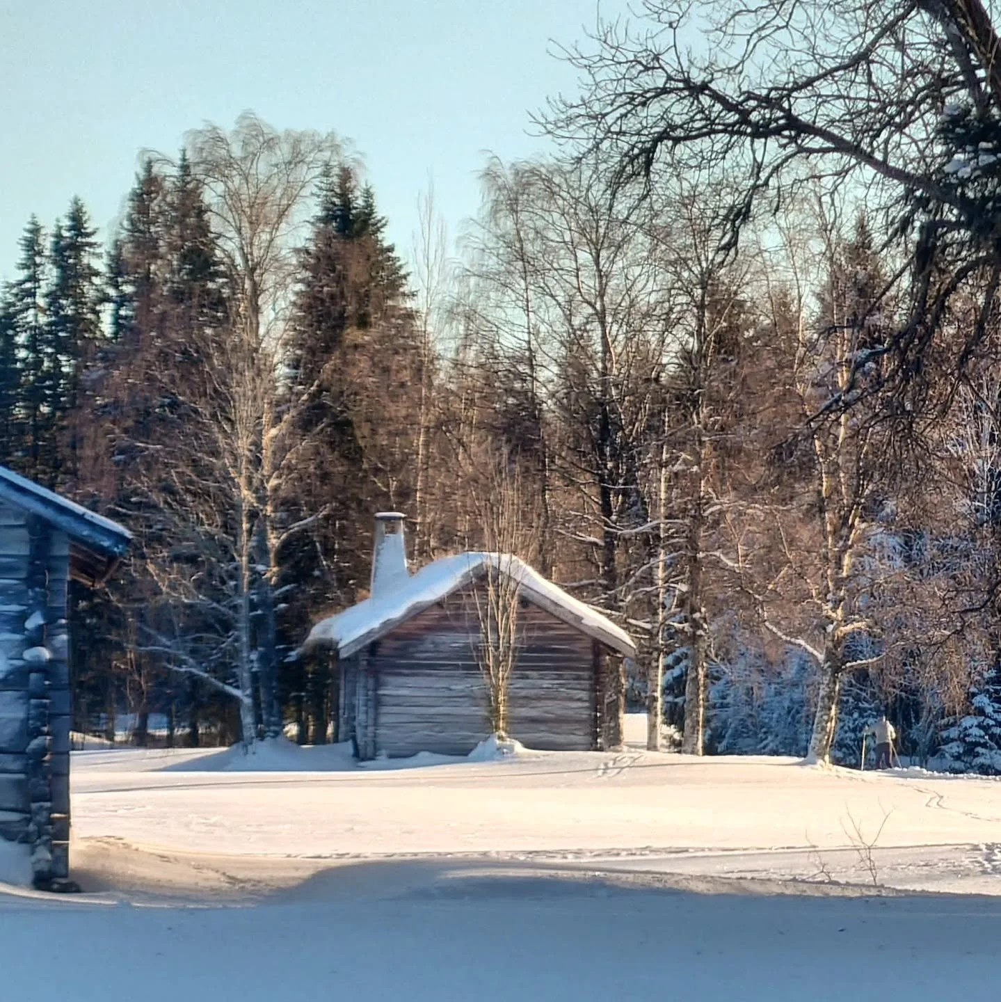 Vilka dagar! Sol☀️, inversion🌡️och fina sp&aring;r🛤️. Det &auml;r preppat sedan f&ouml;rra helgen och extraslingan f&ouml;rbi Erik Pers-buan &auml;r preppad f&ouml;r skejt.