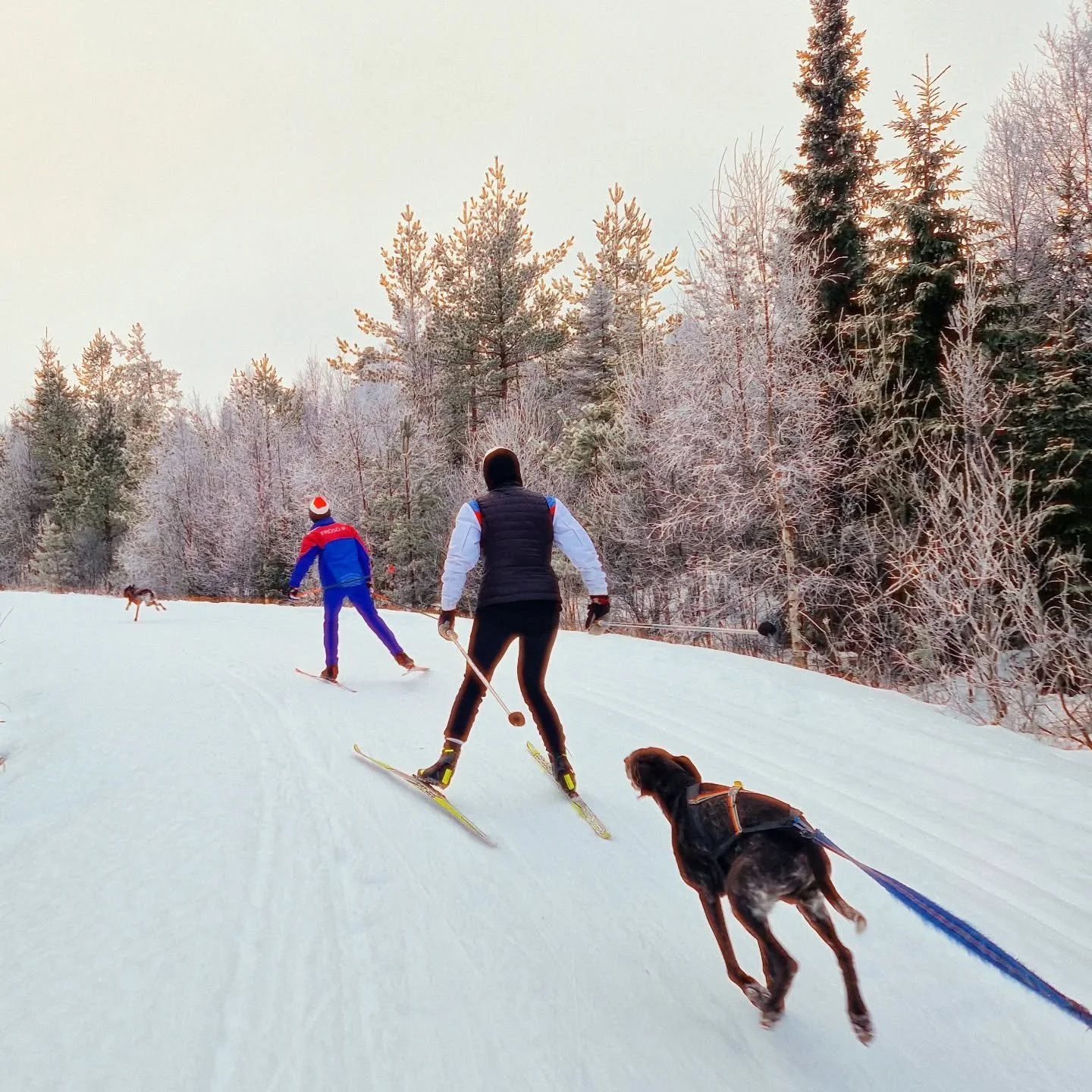 Full fart in mot julen, och mot ljusare tider☀️❄️.
GOD JUL &ouml;nskar familjen Ranbrandt🎅🧑&zwj;🎄🤶