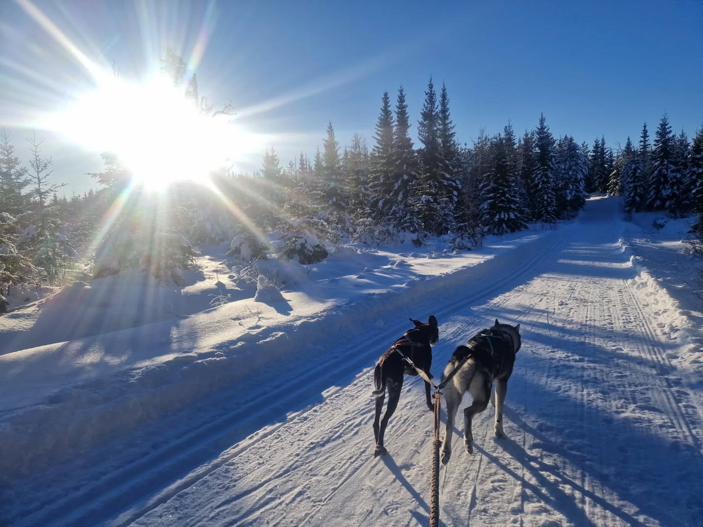 ❄️⭐️☀️⭐️❄️