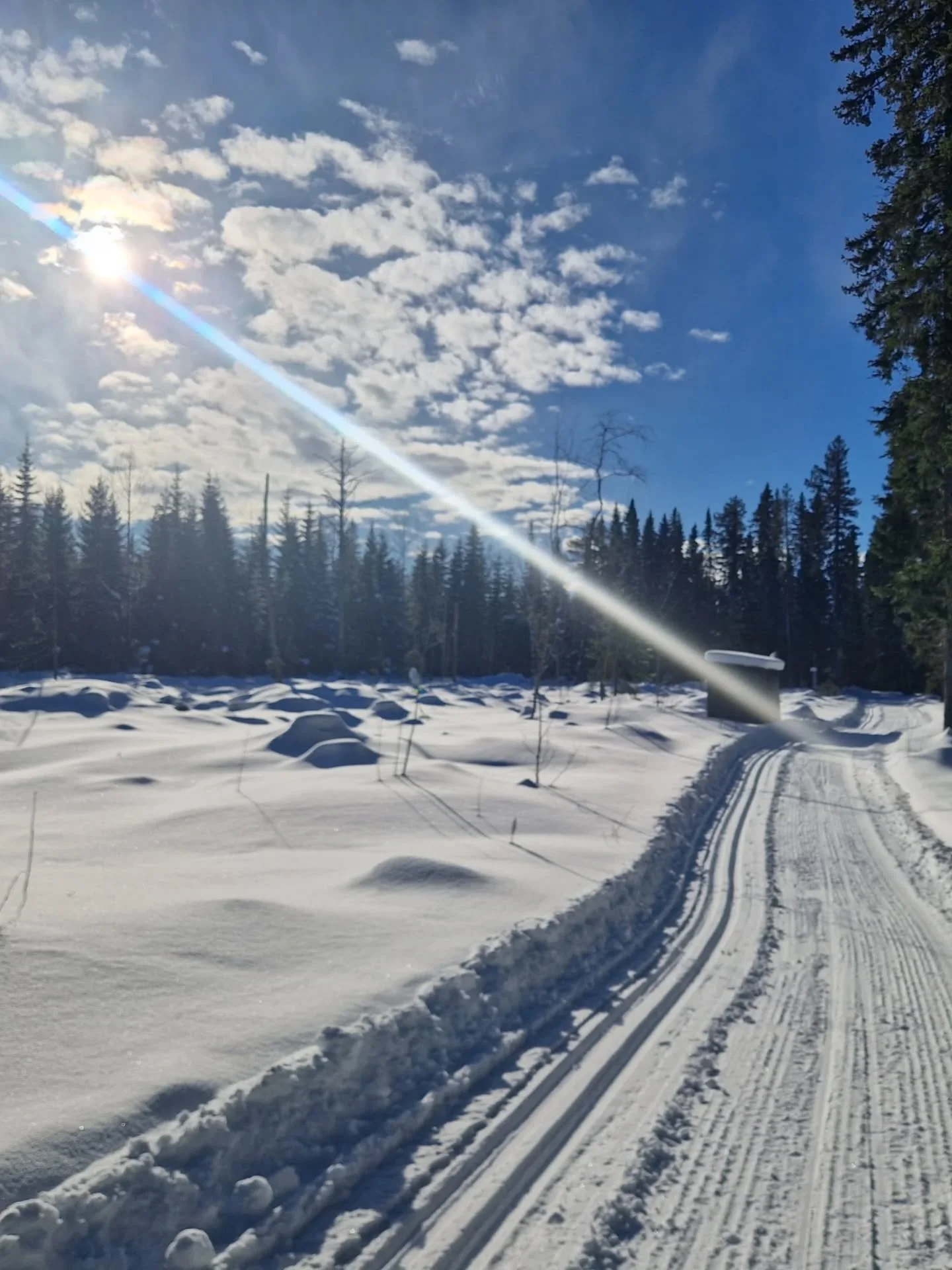 V&Aring;REN har kommit till SP&Aring;REN ☀️⭐️❄️⭐️☀️