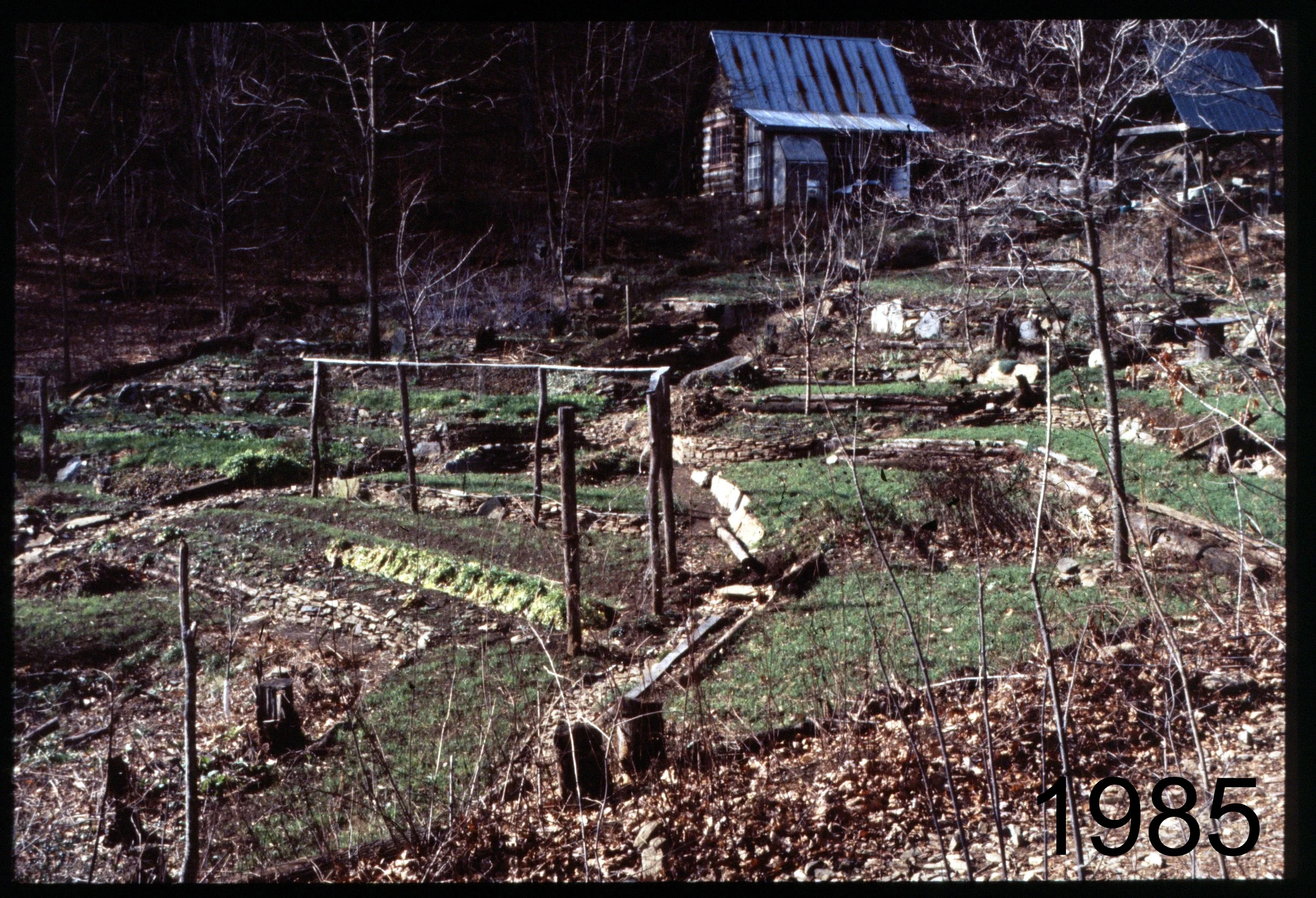 1985 house slope - cabin.jpg