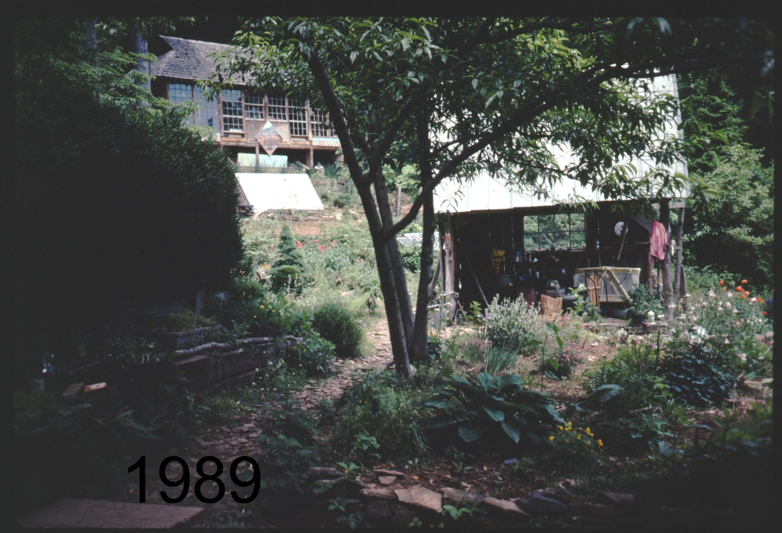 1989 cabin to pavil.jpg