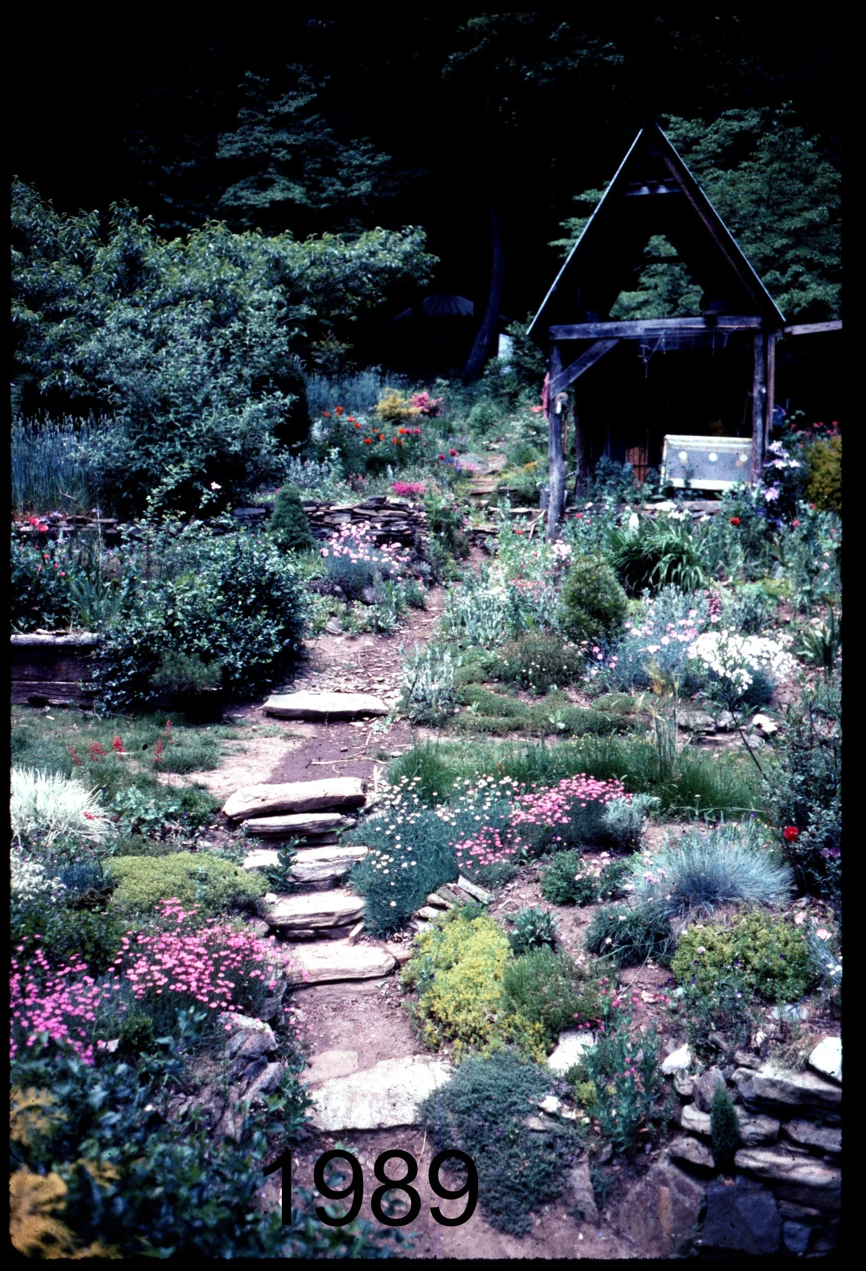1989 overview shed path w flowers.jpg