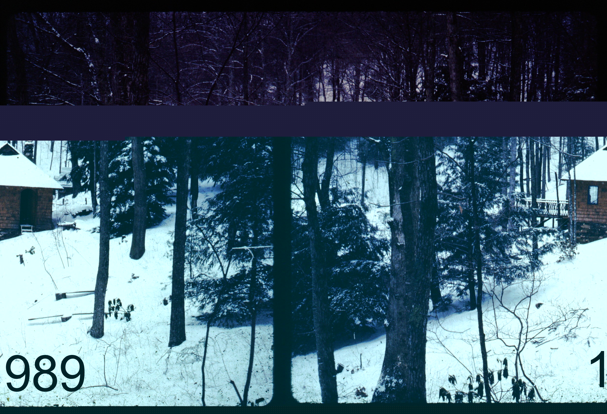1989 view3 tramp - pavil in snow.jpg