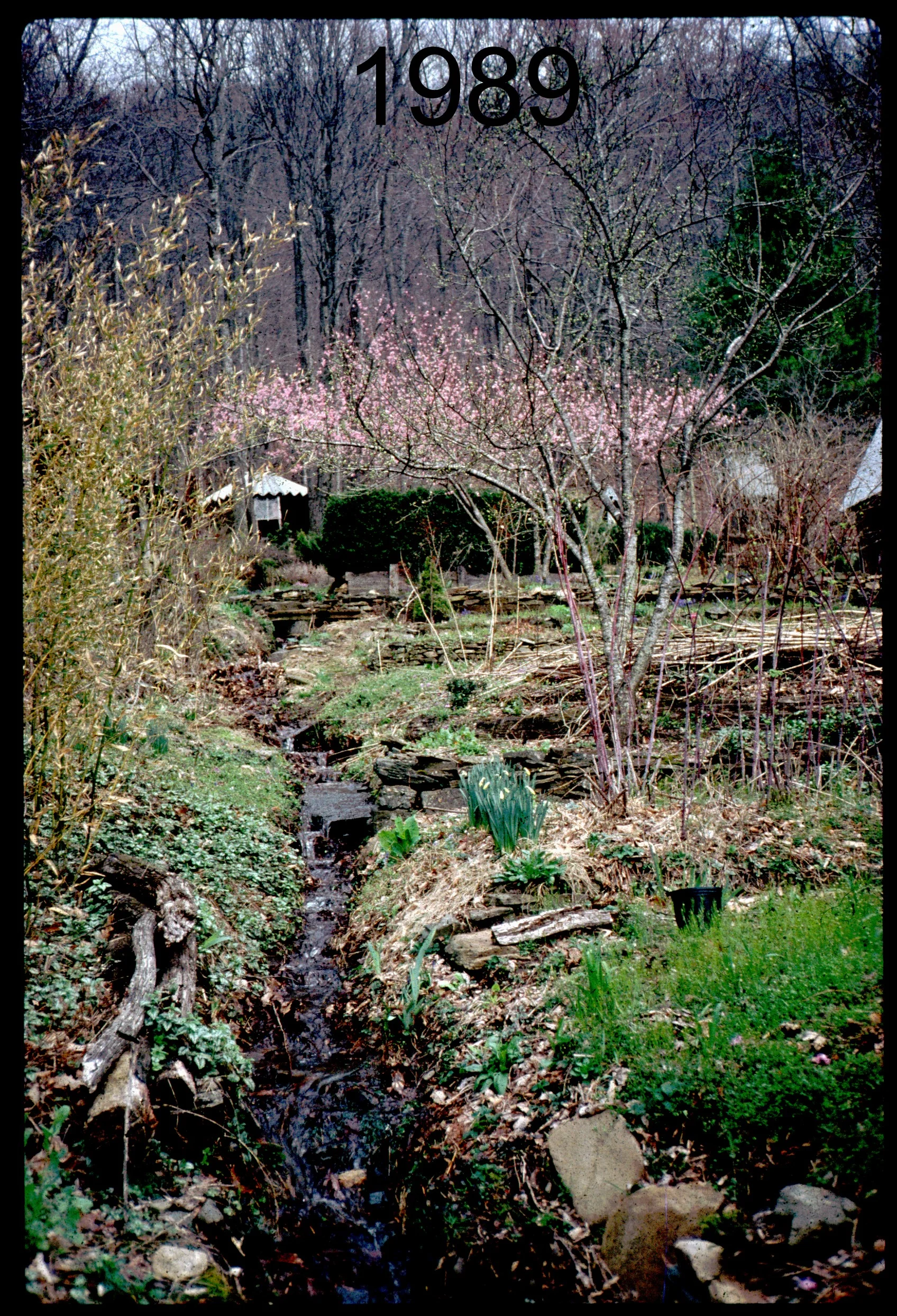 1990 stream-yurt.jpg
