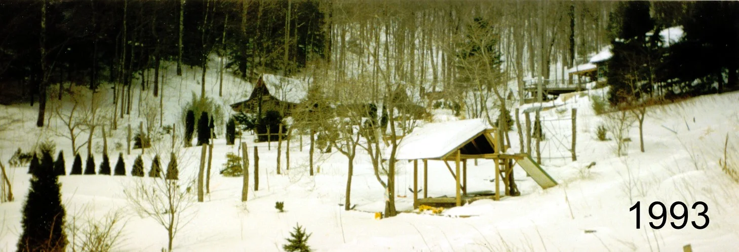 1993 snow panorama from lower drive.jpg