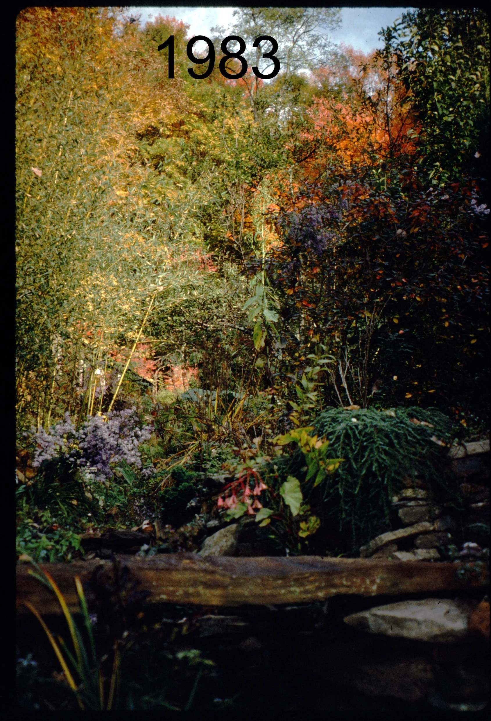 1993 stone bridge - N, autumn.jpg