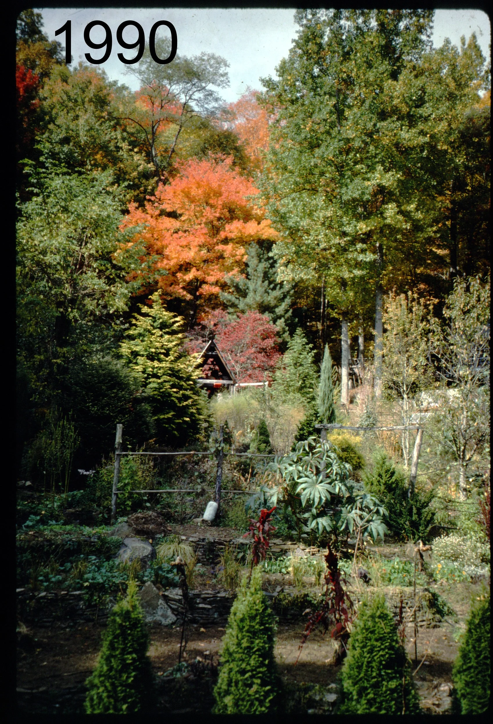 1993 view N from coop.jpg