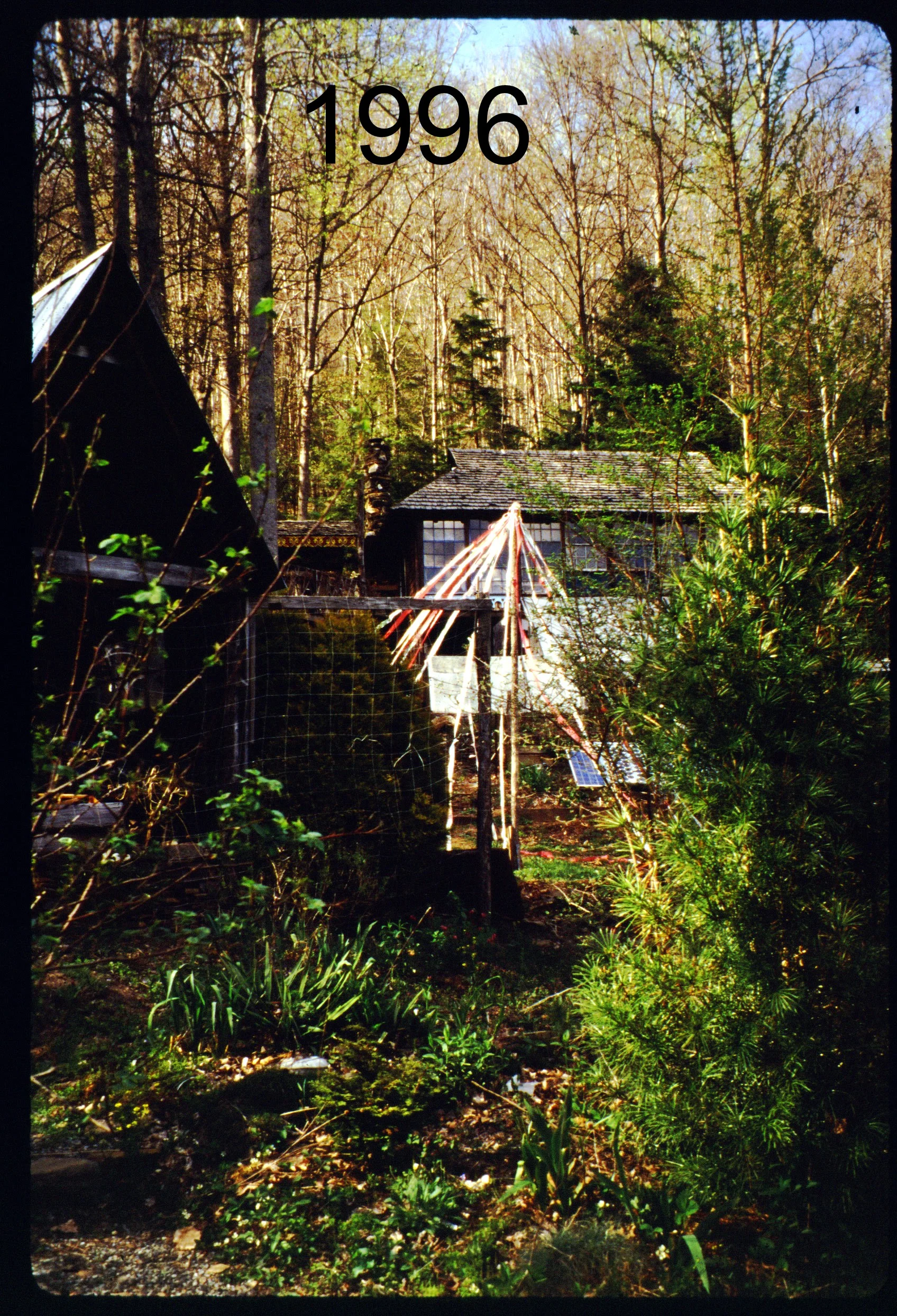 1996 maypole.jpg