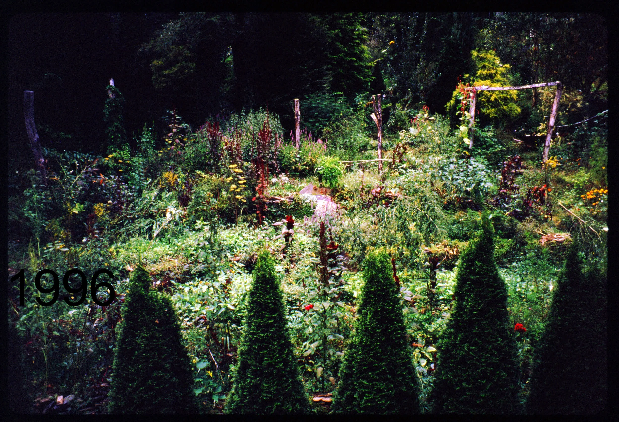 1996 view N from coop.jpg