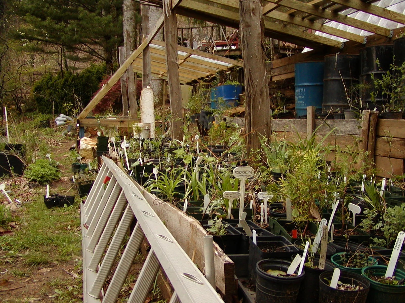 2003 GH project2.JPG