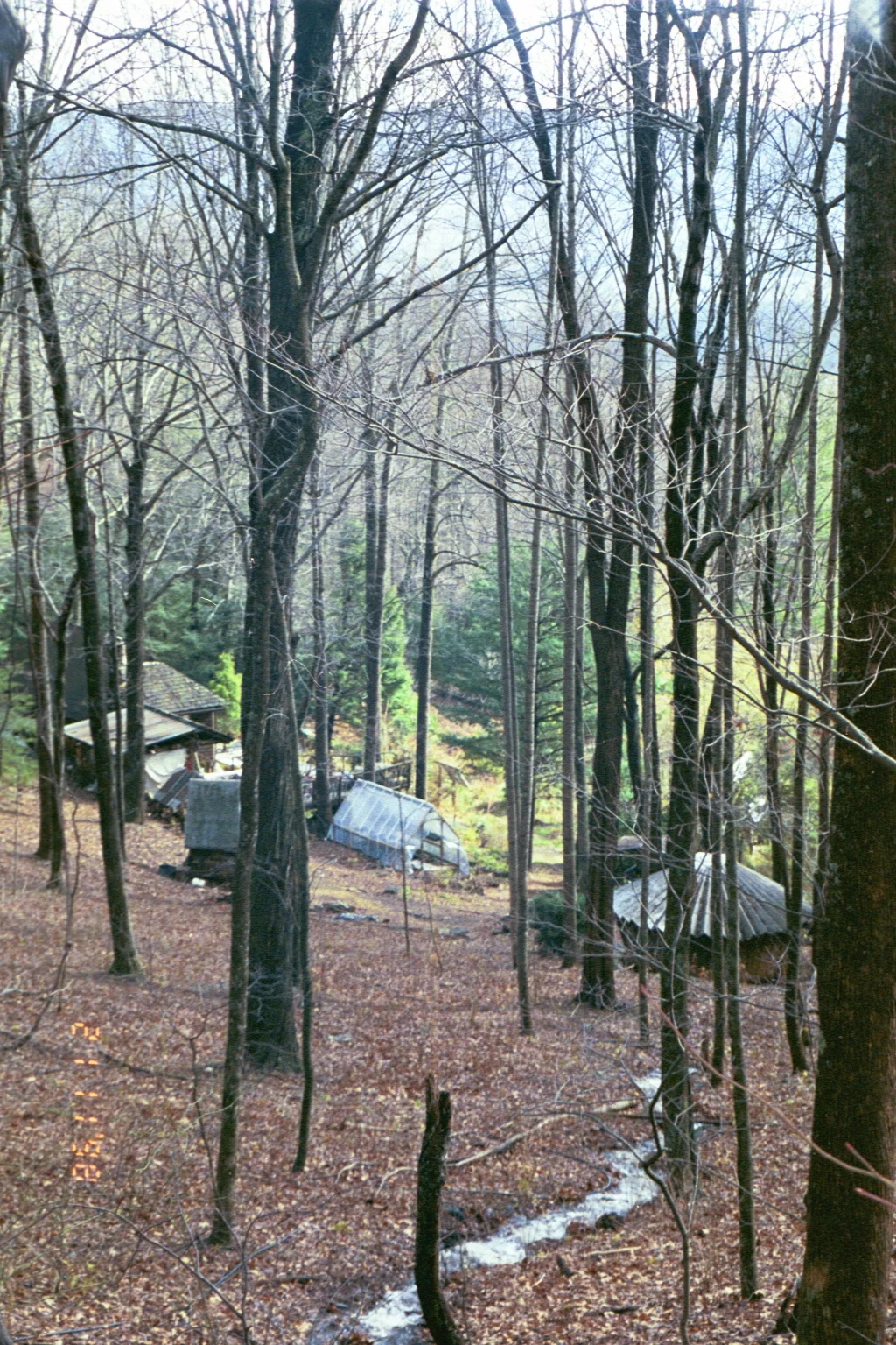 2003 MG from NF, stream.JPG
