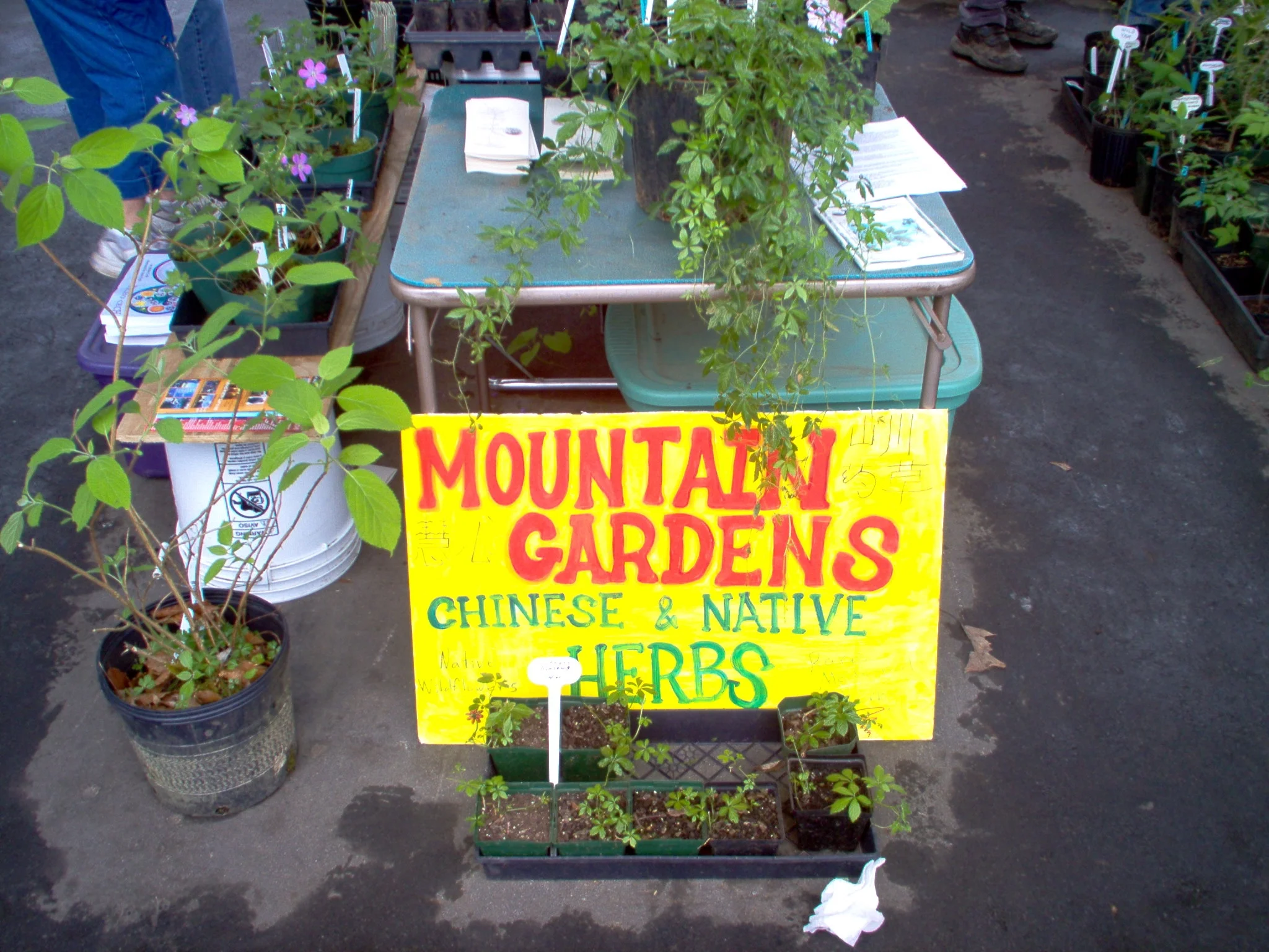 2004 herbfair display.JPG