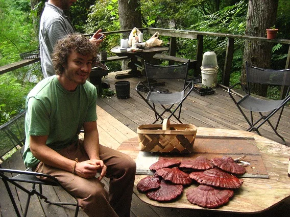 mushroom71.jpg