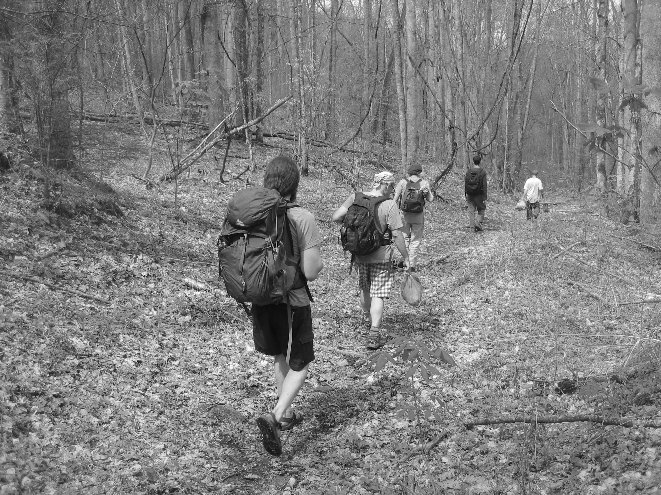 4-hike-for-ramps-April.jpg