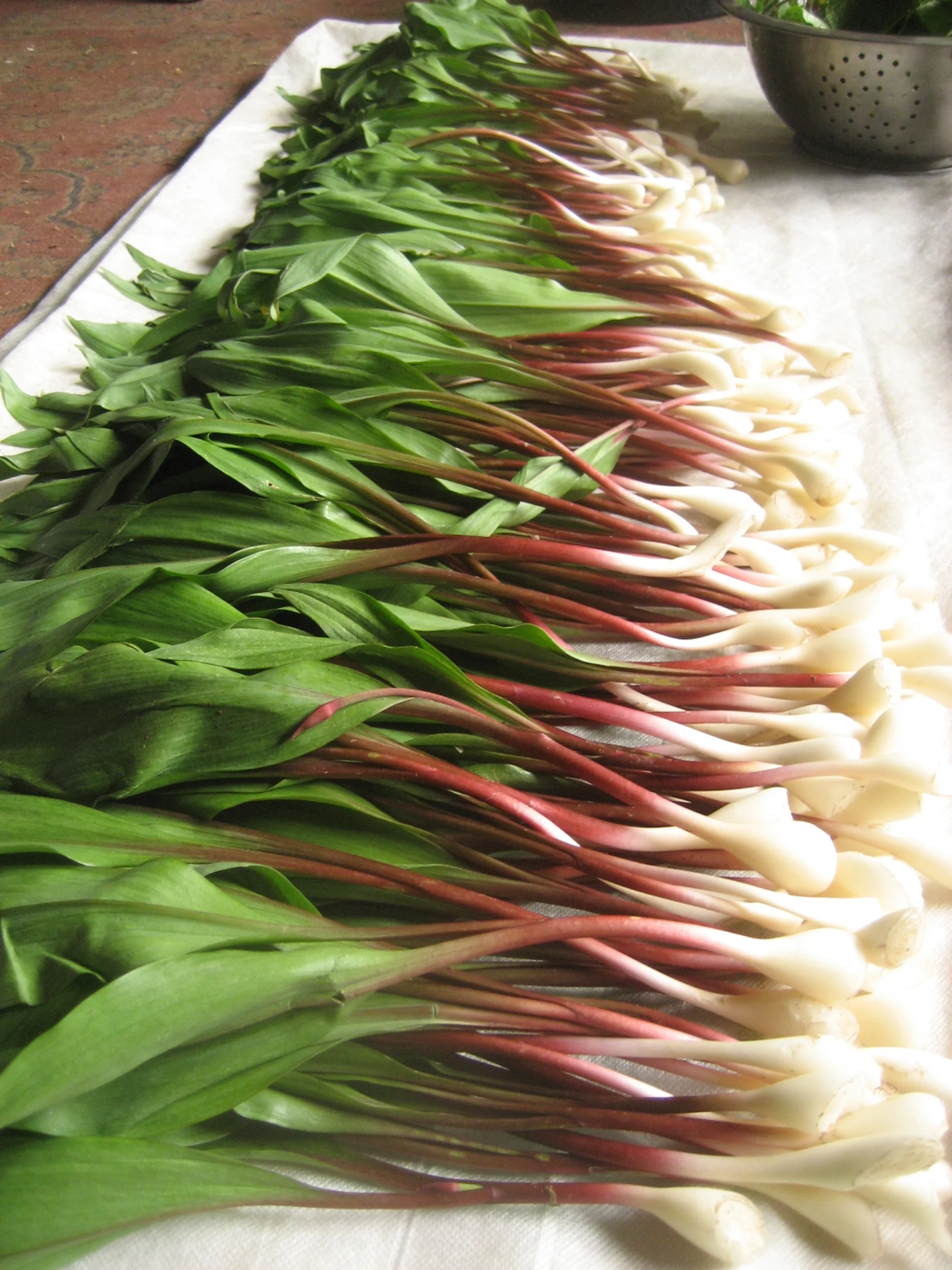 ramps.jpg