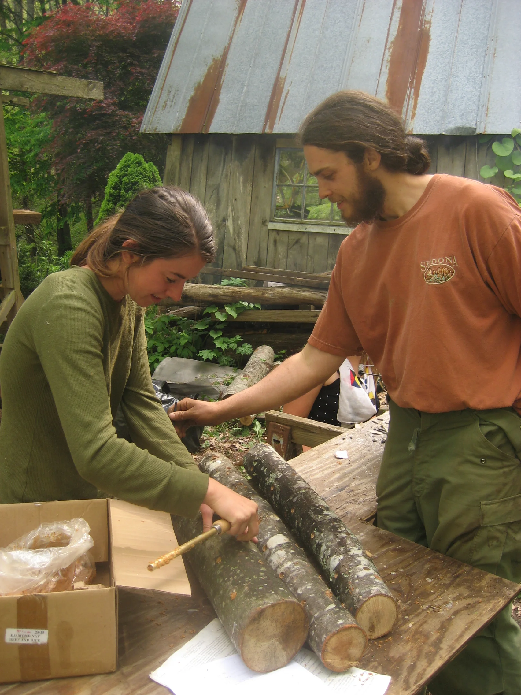 8-shiitake-inoculation.jpg