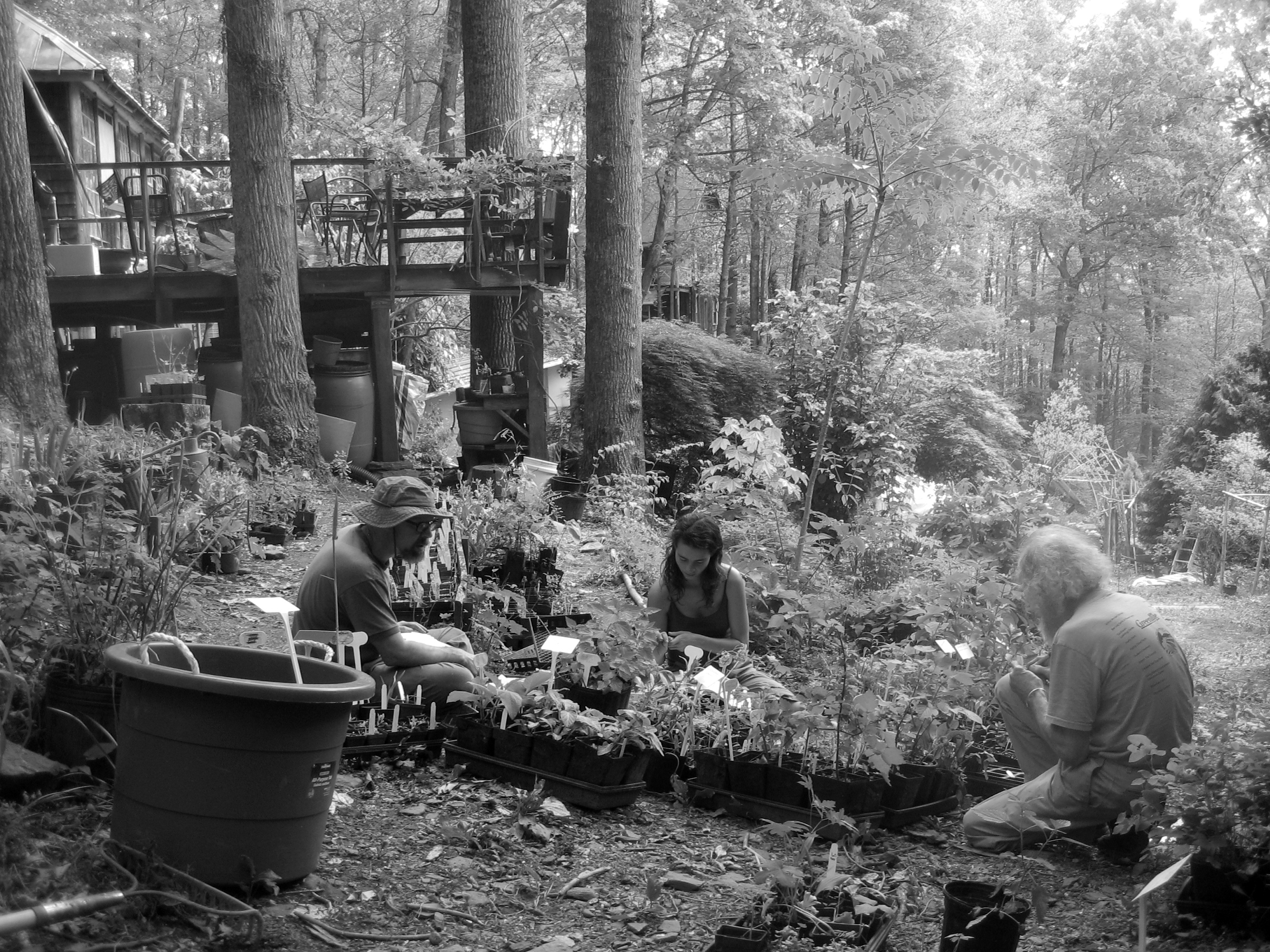 13-readying-for-Asheville-Herb-Fair-May.jpg