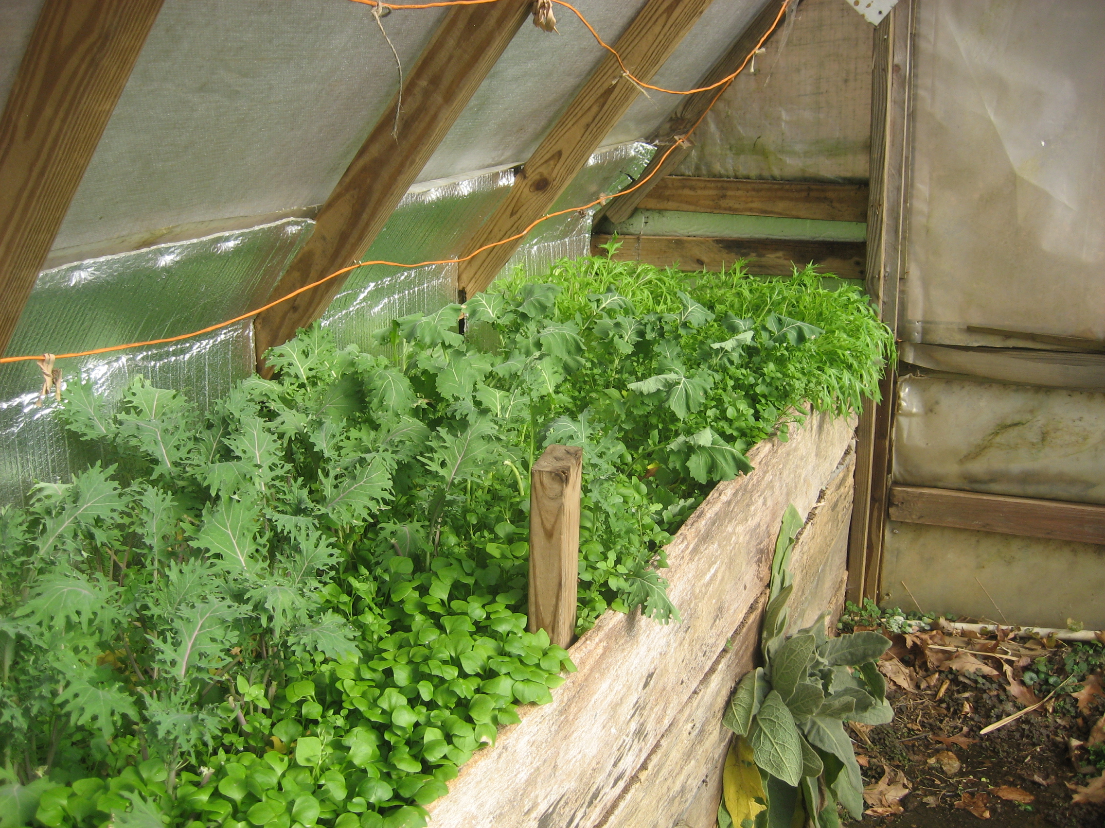 75-green-inside.jpg