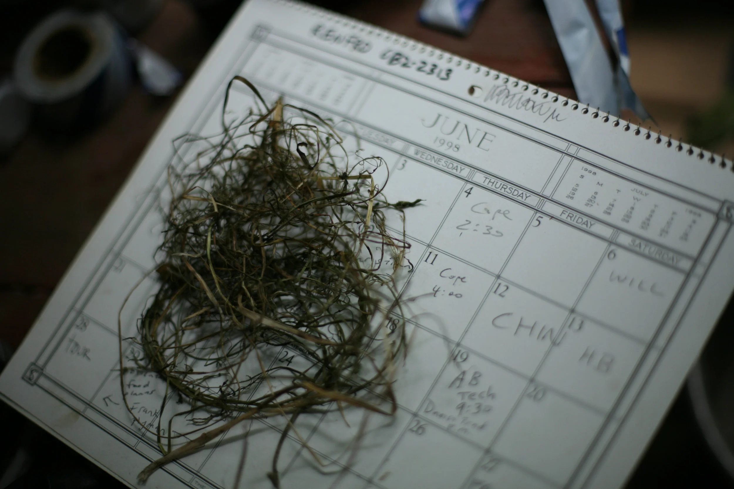 Our 2018 Workshops Calendar Is Up!