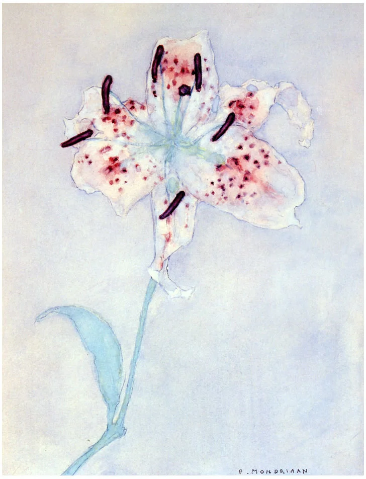 Lily by Piet Mondrian